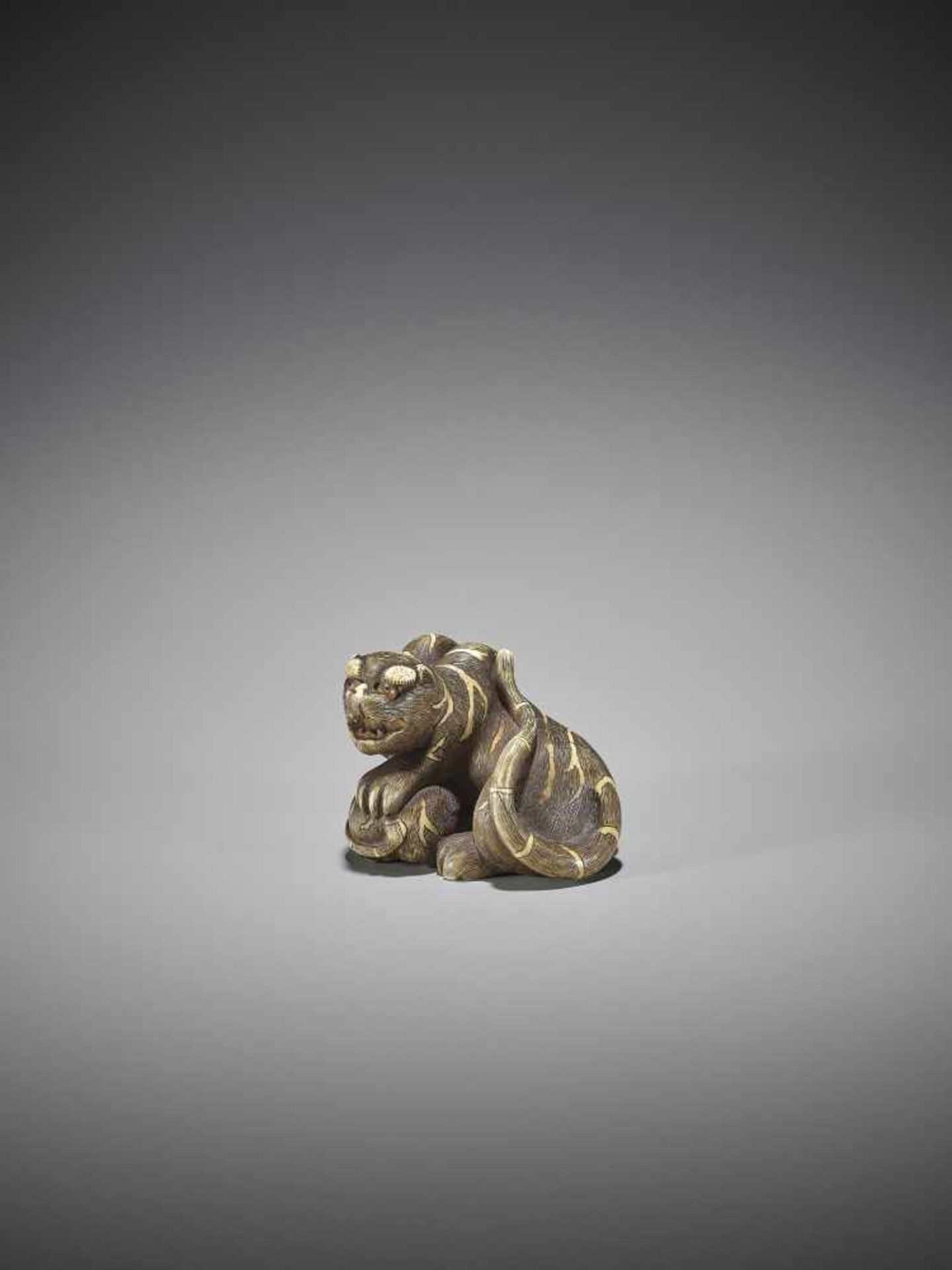 UNSHO HAKURYU II: A SUPERB IVORY NETSUKE OF A TIGER WITH CUB - Bild 5 aus 12