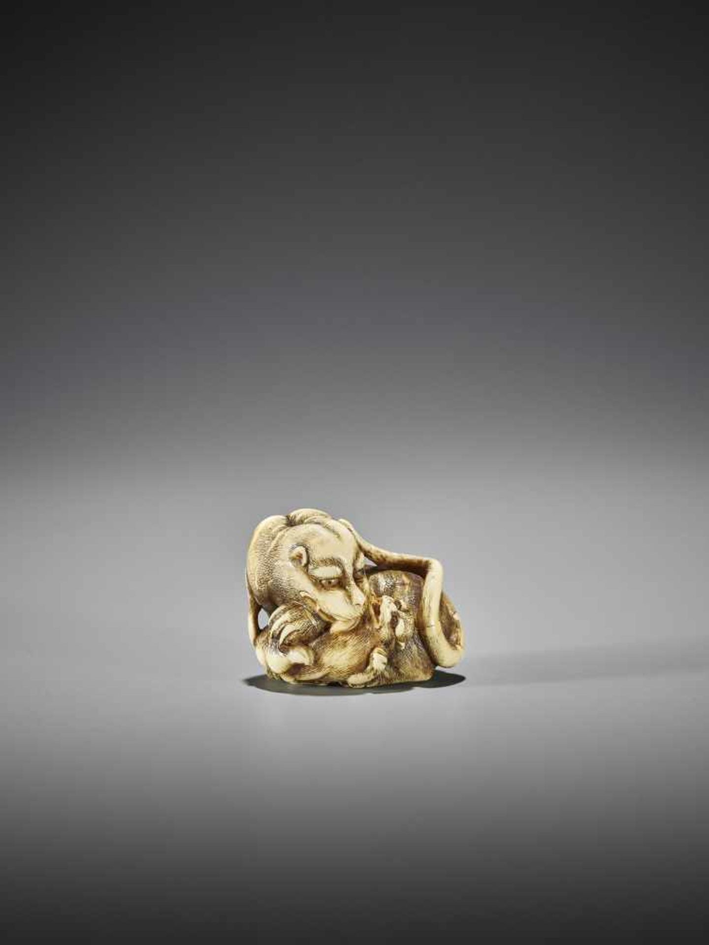 UNSHO HAKURYU I: AN EXCEPTIONAL IVORY NETSUKE OF A TIGER WITH CUB - Bild 8 aus 10