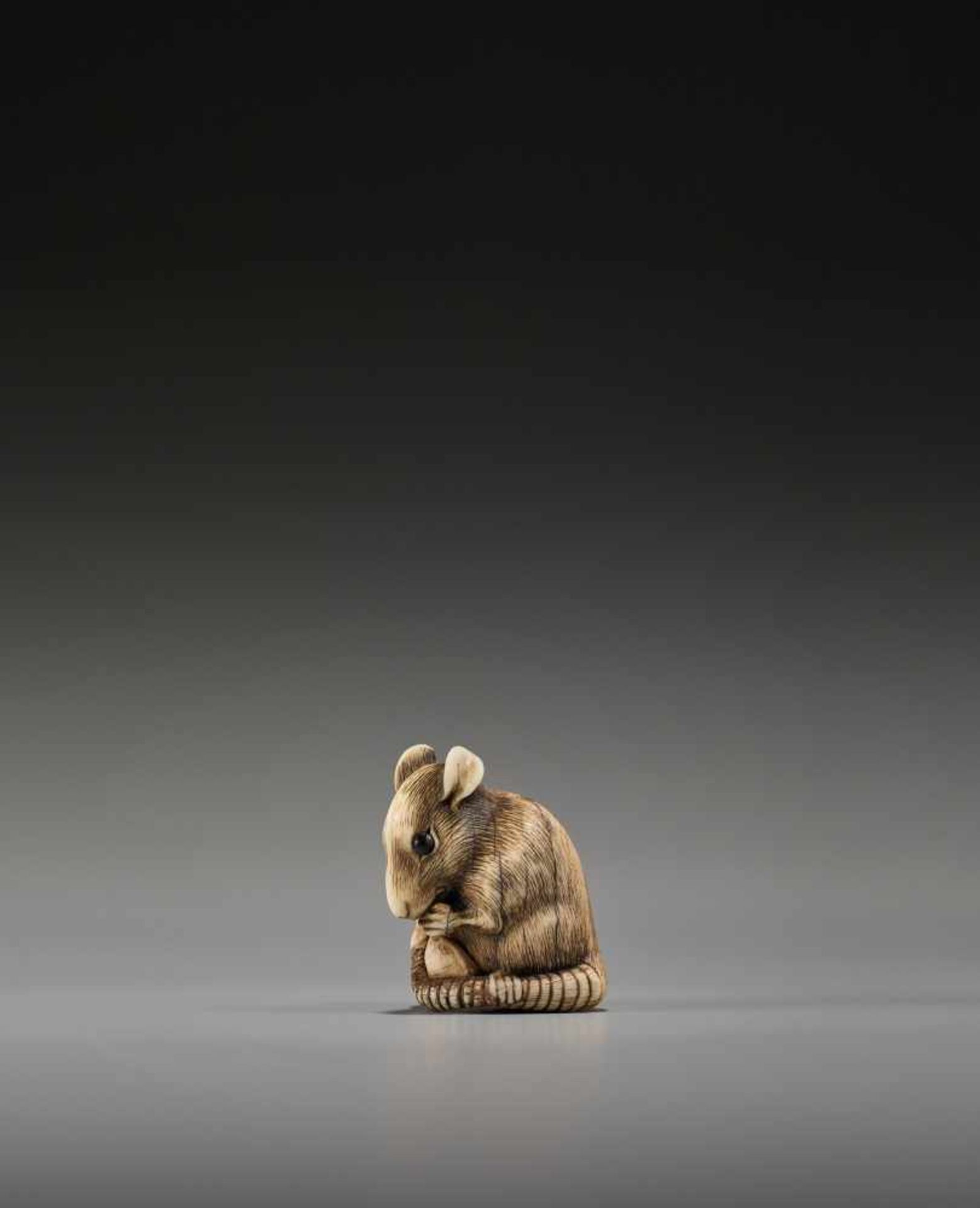 A POWERFUL KYOTO SCHOOL IVORY NETSUKE OF A RAT WITH A BEAN POD - Image 5 of 11