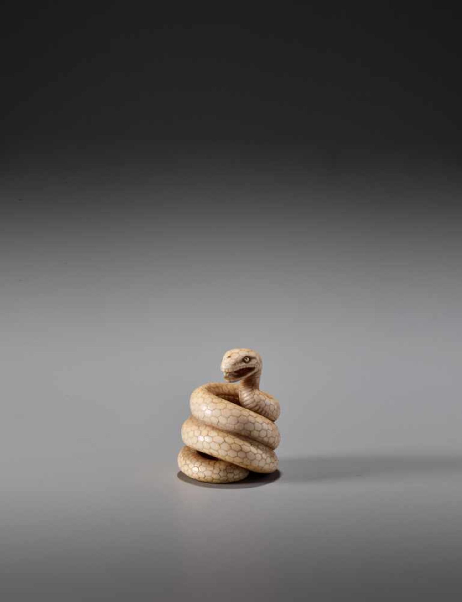 MASANAO: AN IVORY NETSUKE OF A COILED SNAKE - Image 5 of 10