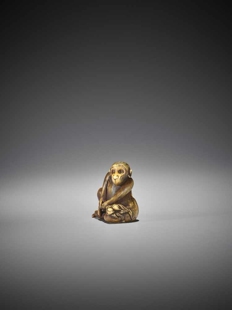 MITSUHARU: AN IVORY NETSUKE OF A MONKEY - Image 4 of 10