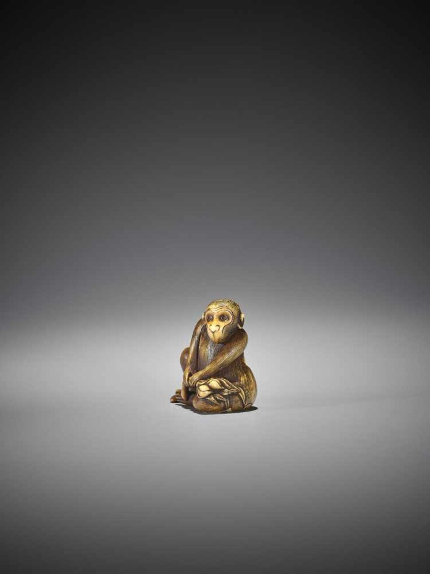 MITSUHARU: AN IVORY NETSUKE OF A MONKEY - Bild 4 aus 10