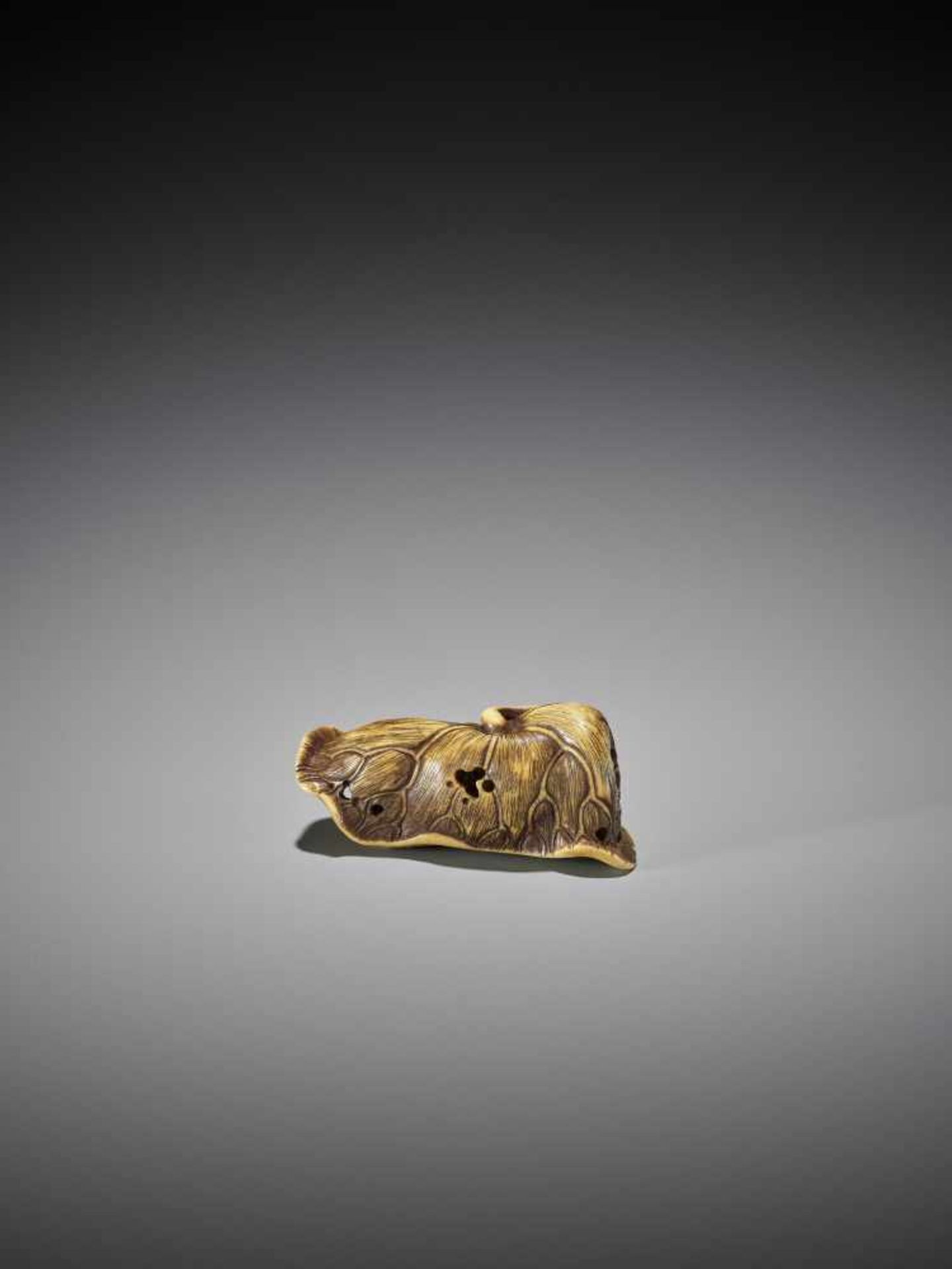 A RARE STAINED STAG ANTLER NETSUKE OF A GAKI ON LOTUS LEAF - Image 8 of 11