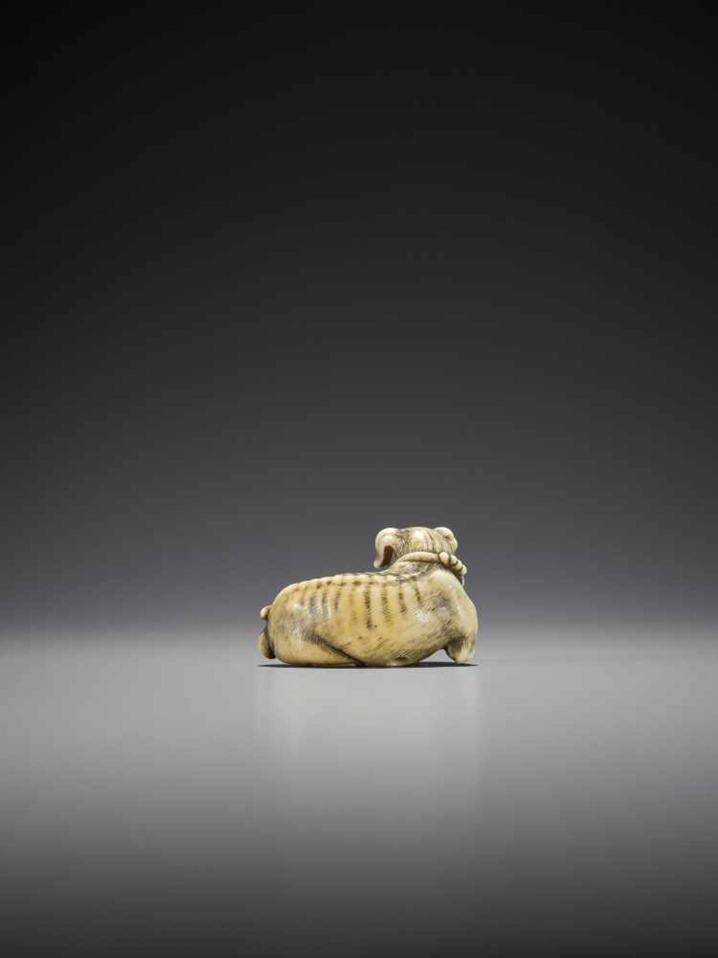 TOMOTADA: A SUPERB IVORY NETSUKE OF A DOG WITH HAMAGURI CLAM - Bild 3 aus 10