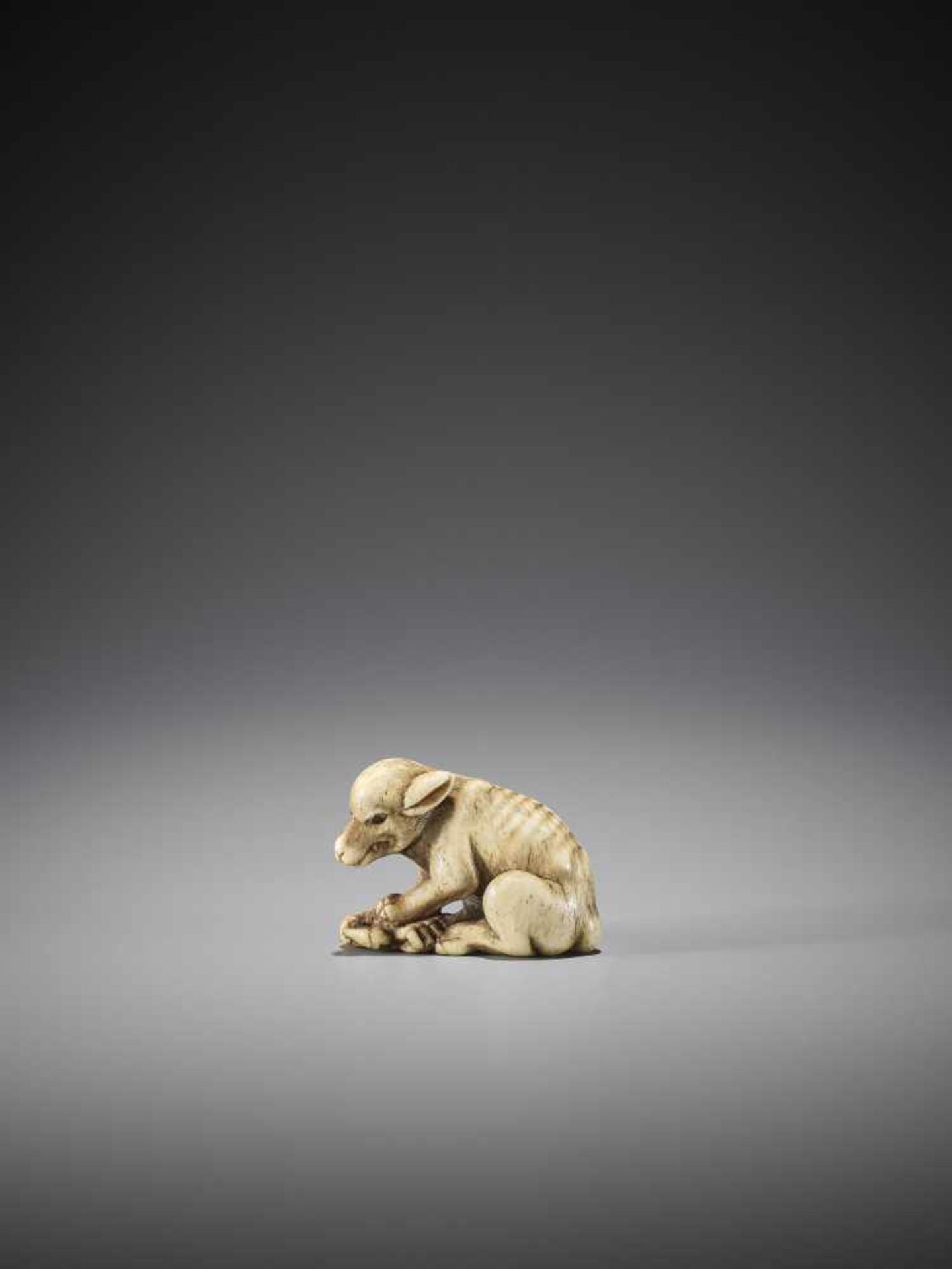 AN EXCELLENT AND RARE BONE NETSUKE OF A WOLF WITH CRAB - Image 5 of 13