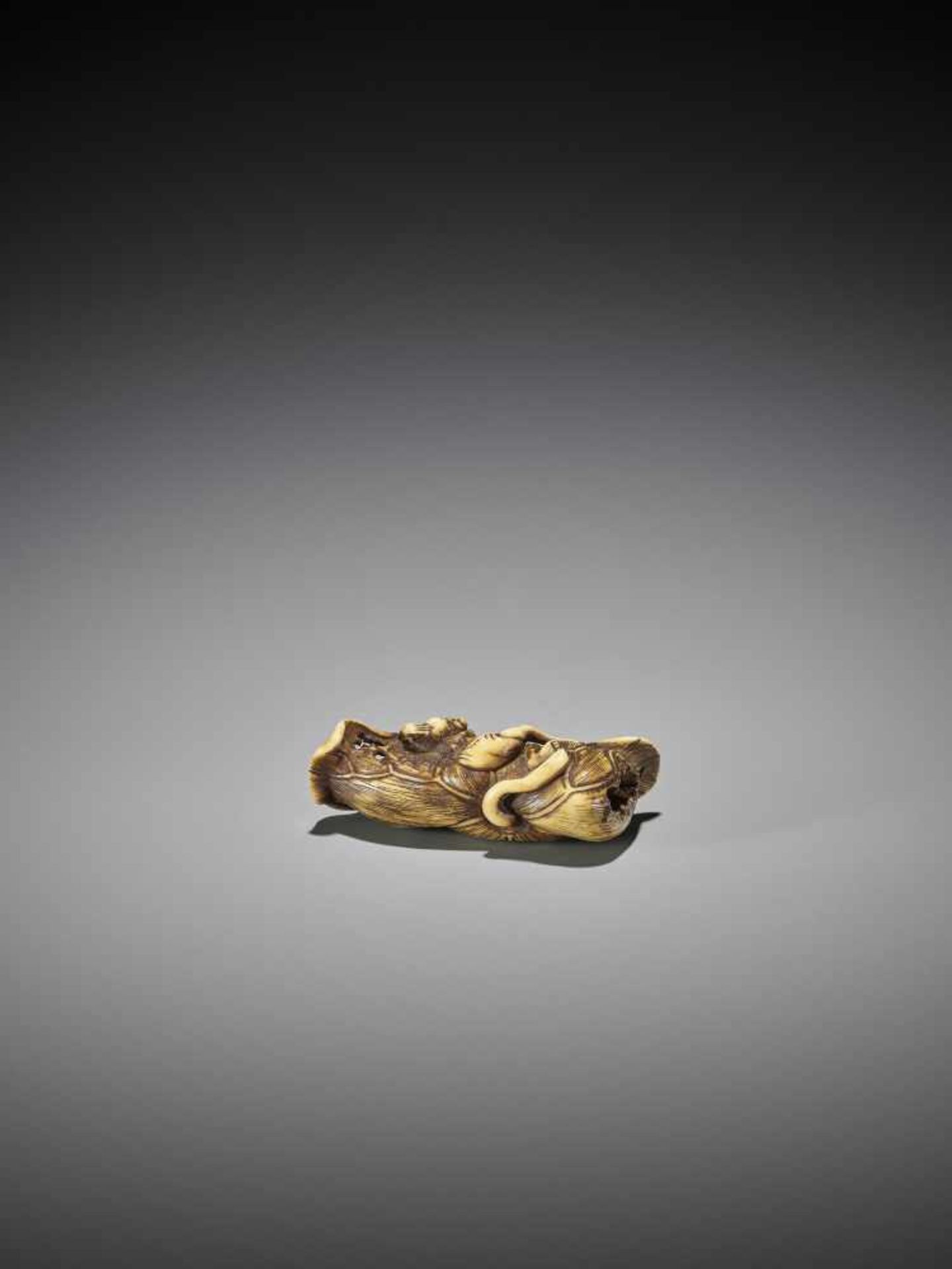 A RARE STAINED STAG ANTLER NETSUKE OF A GAKI ON LOTUS LEAF - Image 5 of 11