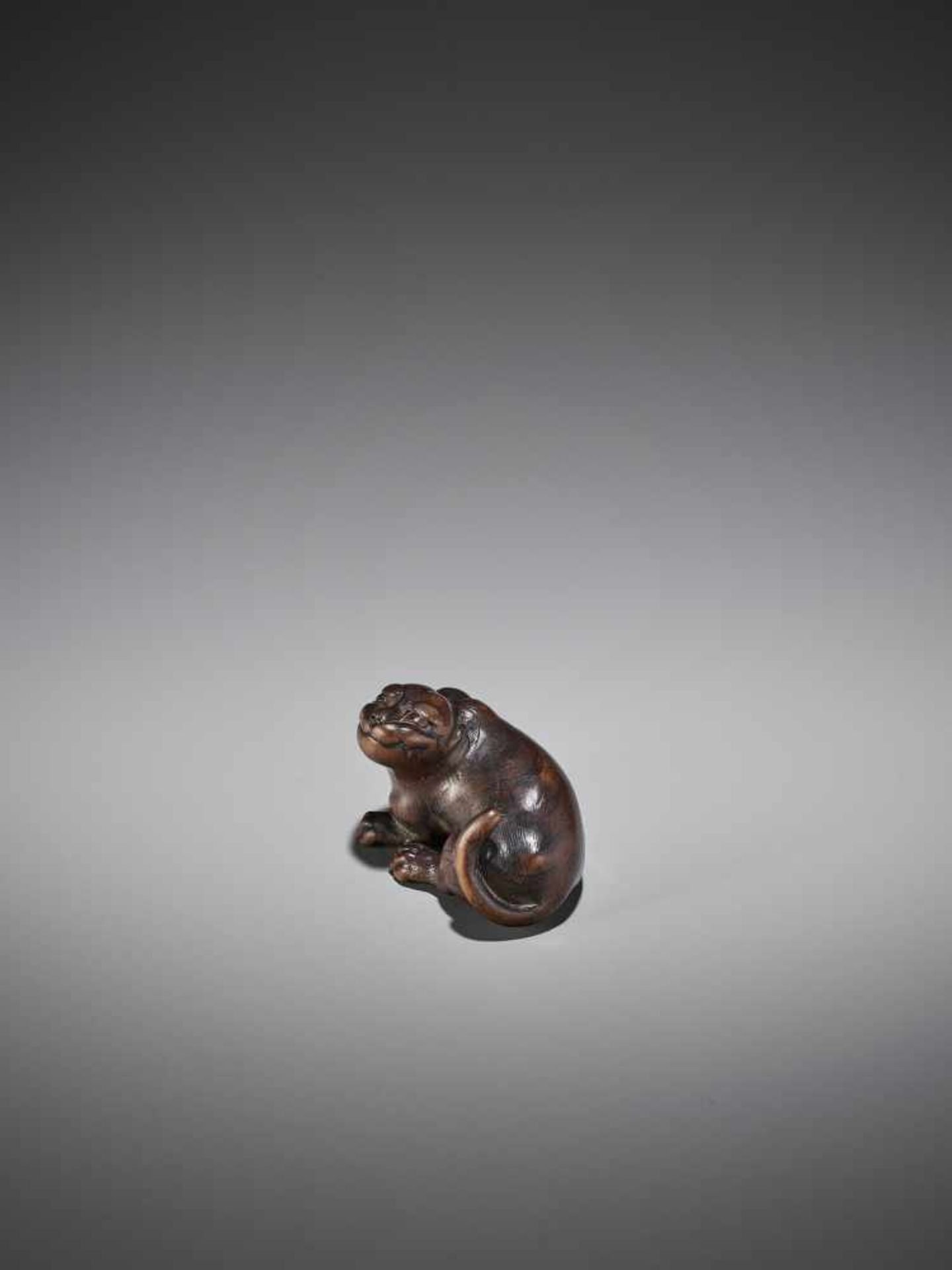 RANTEI: A RARE WOOD NETSUKE OF A TIGER - Bild 4 aus 11