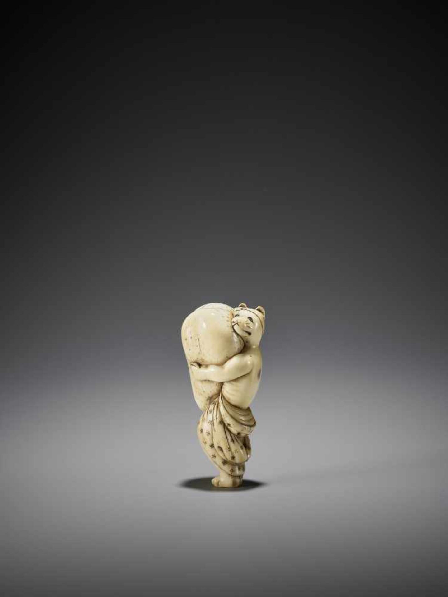 A LARGE AND AMUSING IVORY NETSUKE OF A TANUKI WITH HUGE SCROTUM