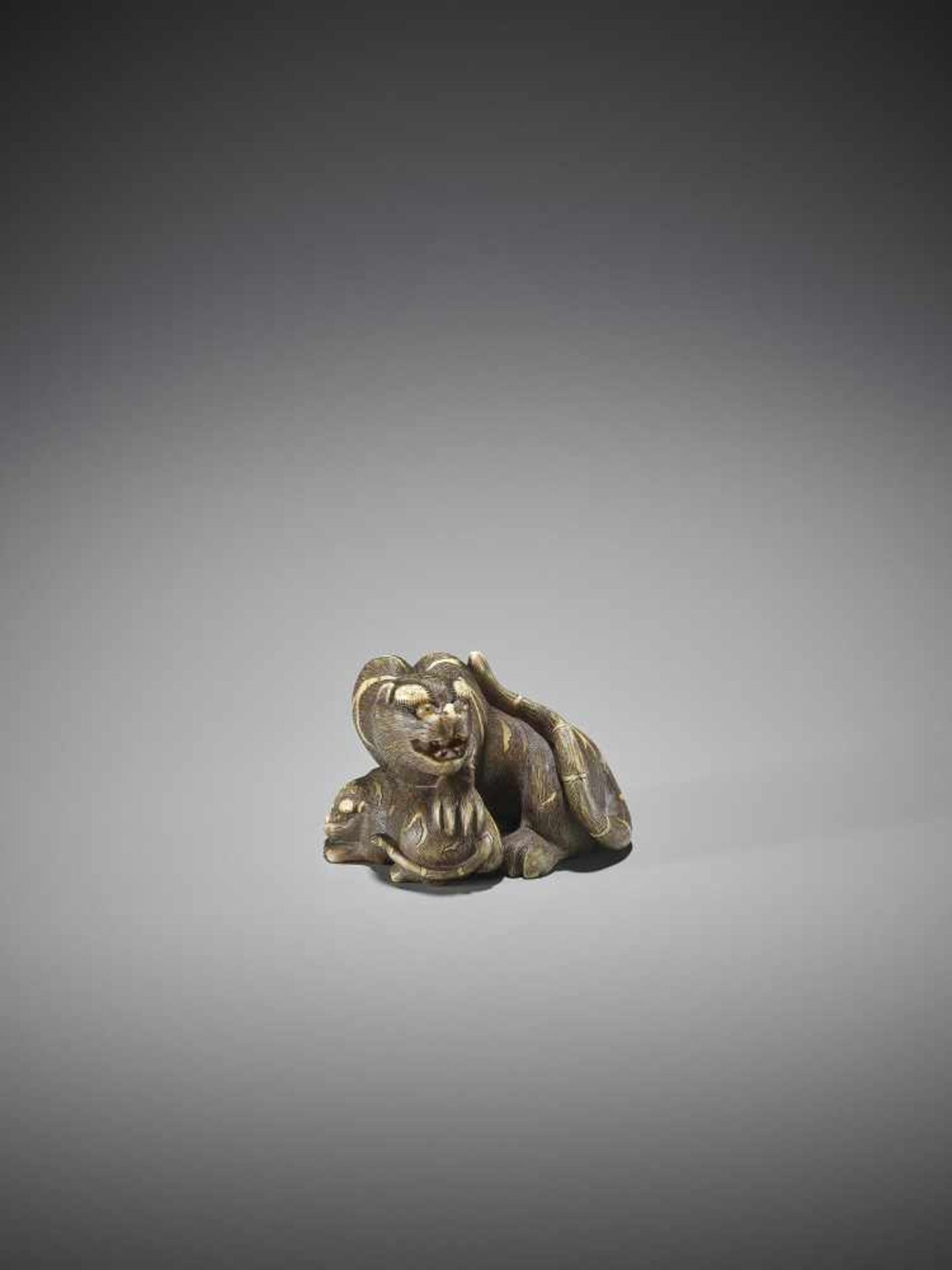 UNSHO HAKURYU II: A SUPERB IVORY NETSUKE OF A TIGER WITH CUB - Bild 4 aus 12