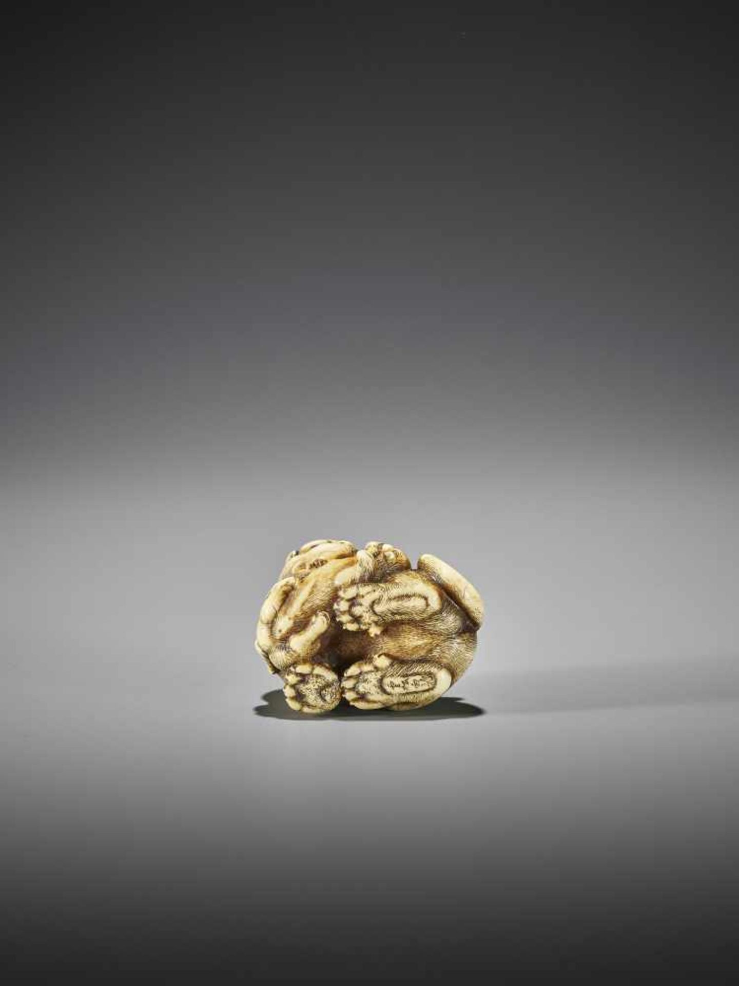 UNSHO HAKURYU I: AN EXCEPTIONAL IVORY NETSUKE OF A TIGER WITH CUB - Image 9 of 10