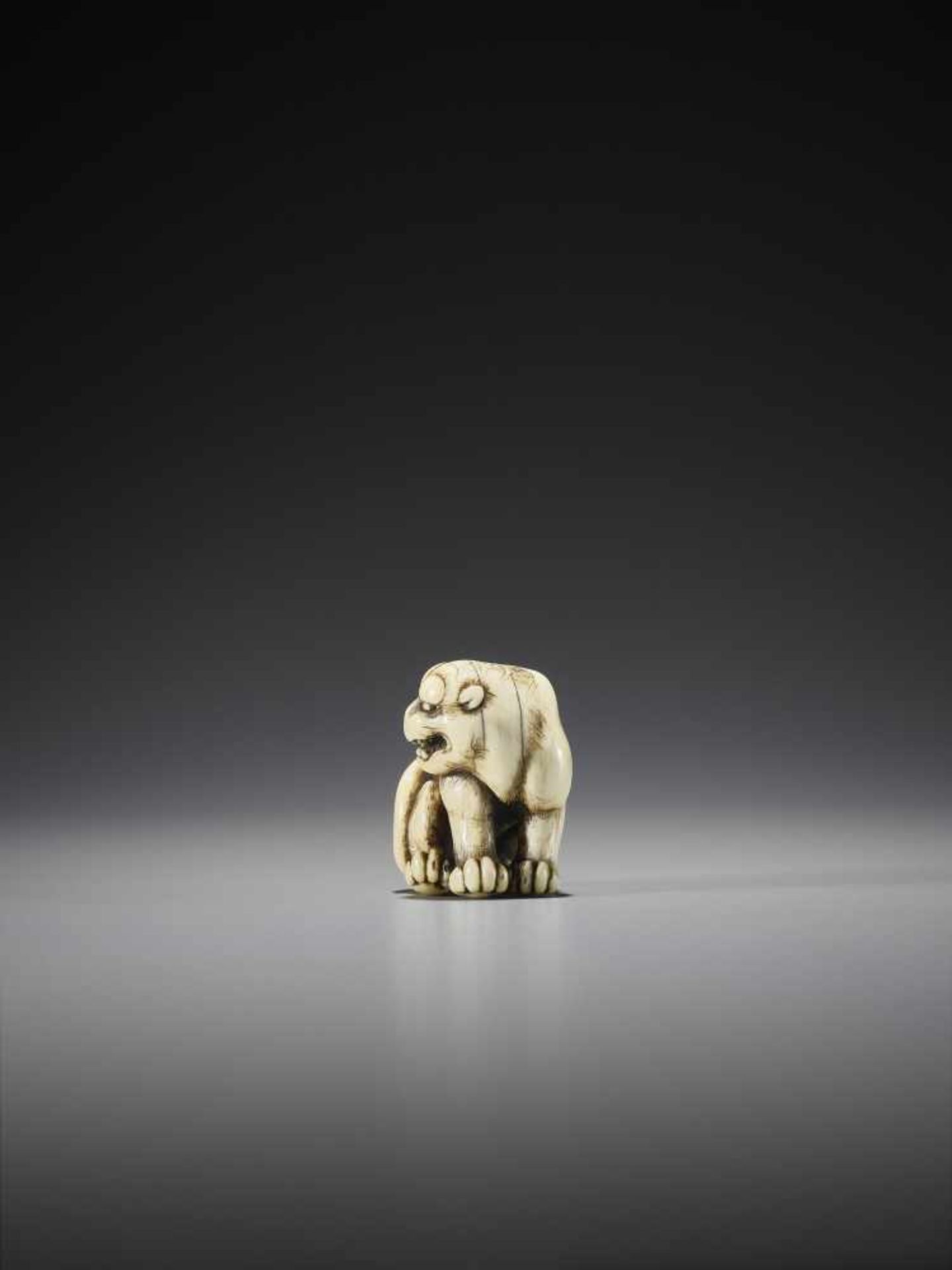 OKAKOTO: A SUPERB IVORY NETSUKE OF A TIGER - Image 5 of 12