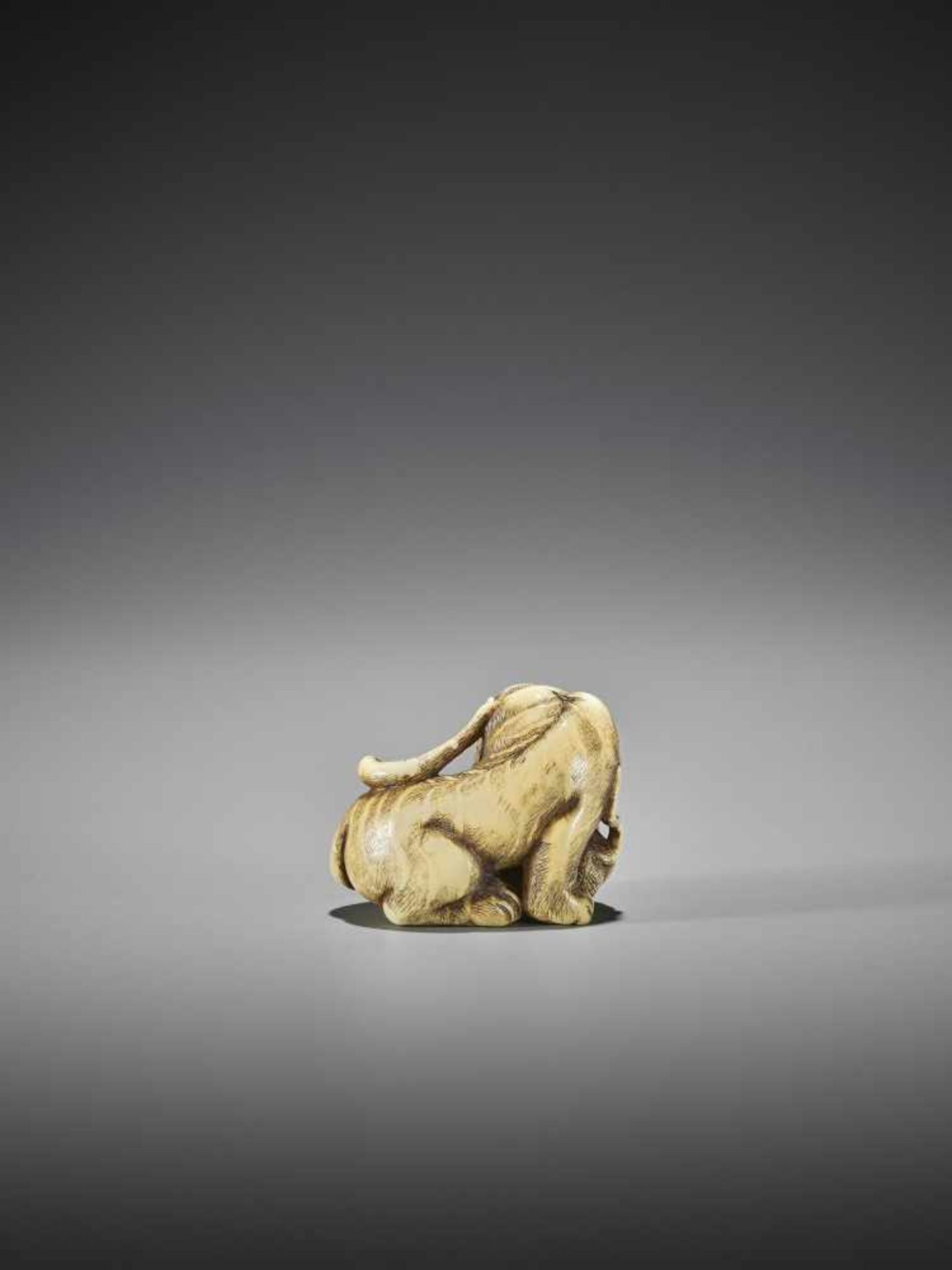 UNSHO HAKURYU I: AN EXCEPTIONAL IVORY NETSUKE OF A TIGER WITH CUB - Image 6 of 10