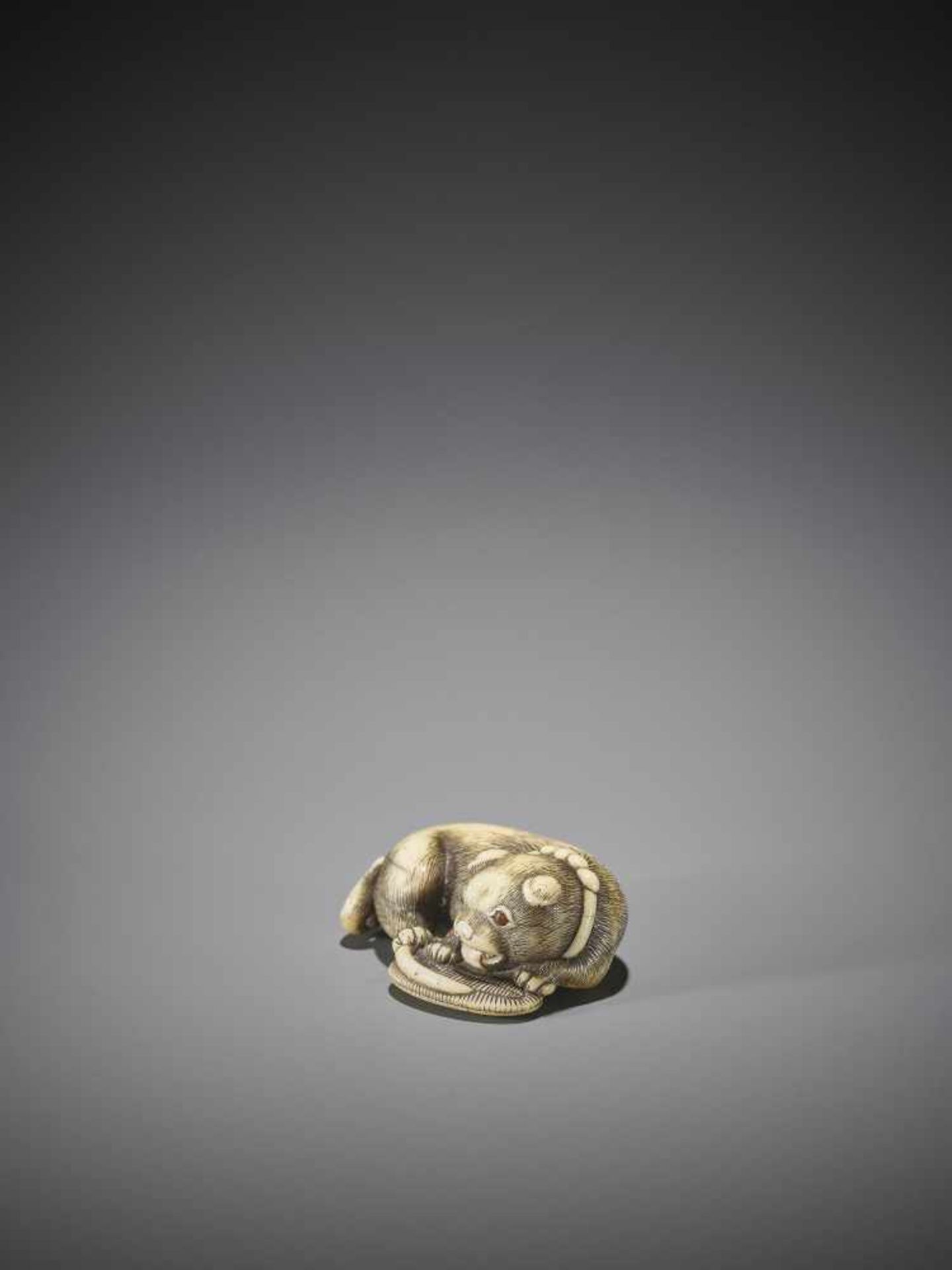 AN OSAKA SCHOOL IVORY NETSUKE OF A DOG WITH SANDAL - Image 3 of 8