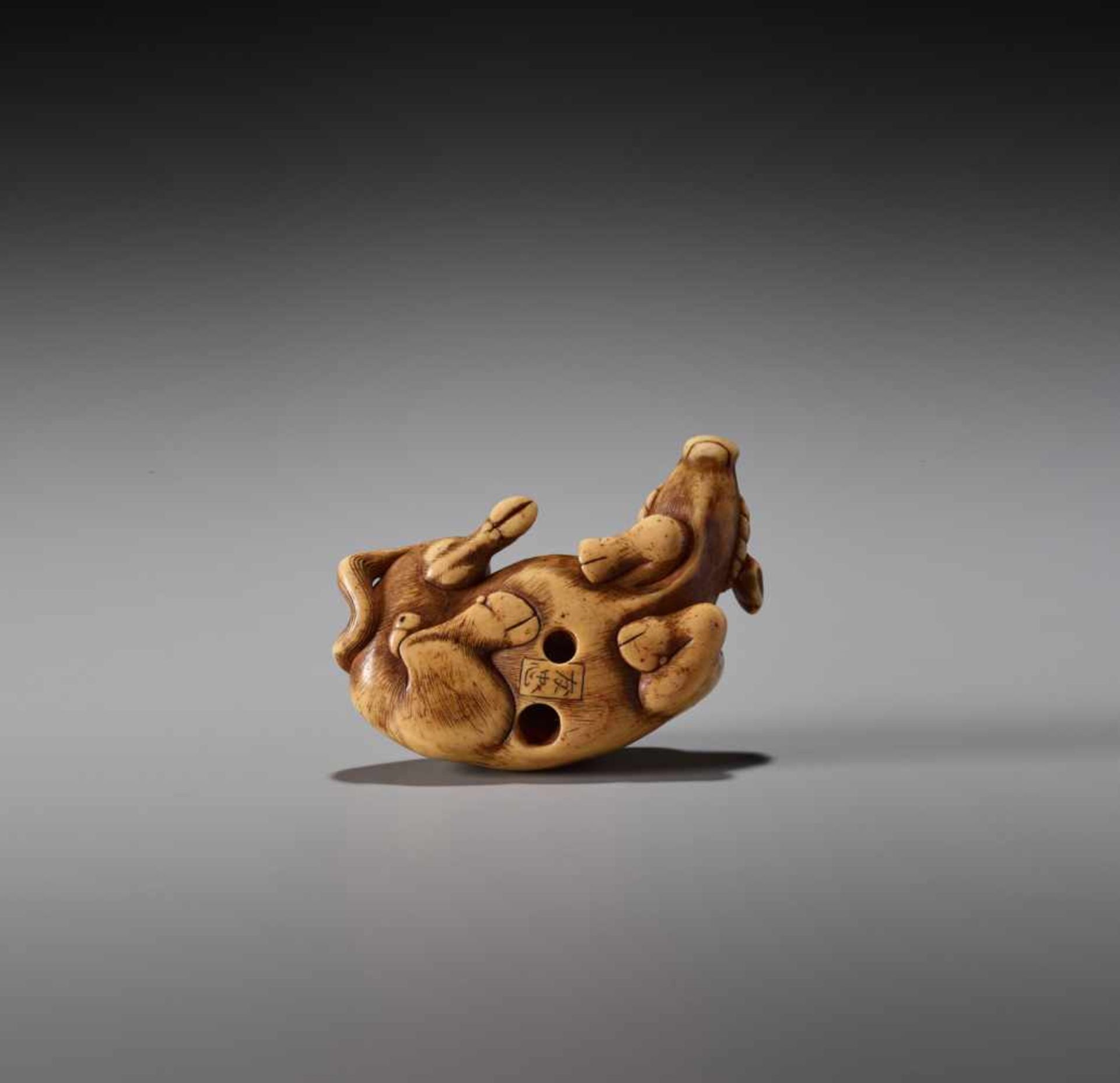 TOMOTADA: A POWERFUL IVORY NETSUKE OF A RECUMBENT OX - Bild 2 aus 9