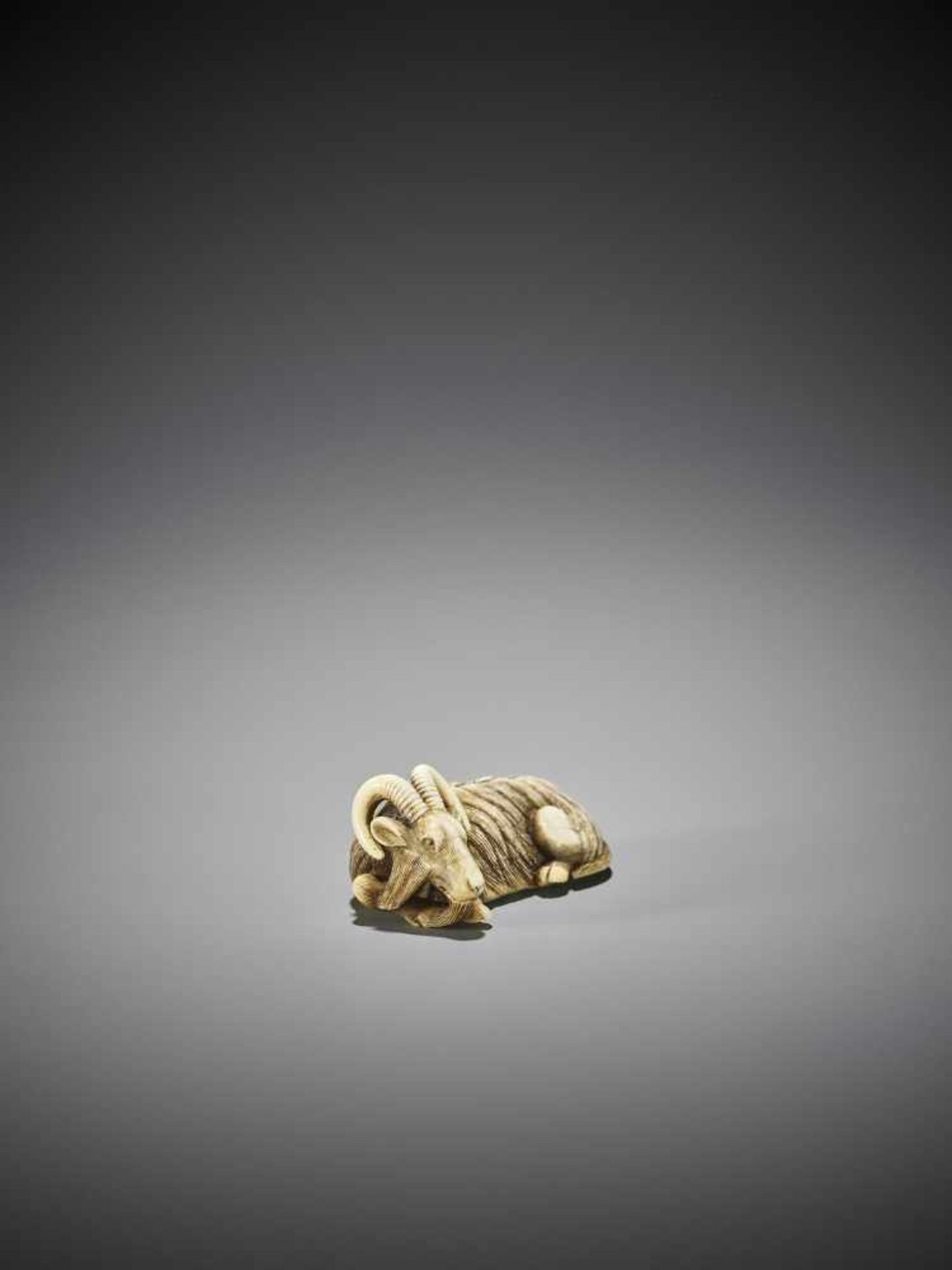 MASANAO (ATTR.): A SUPERB IVORY NETSUKE OF A RECUMBENT GOAT - Bild 2 aus 13