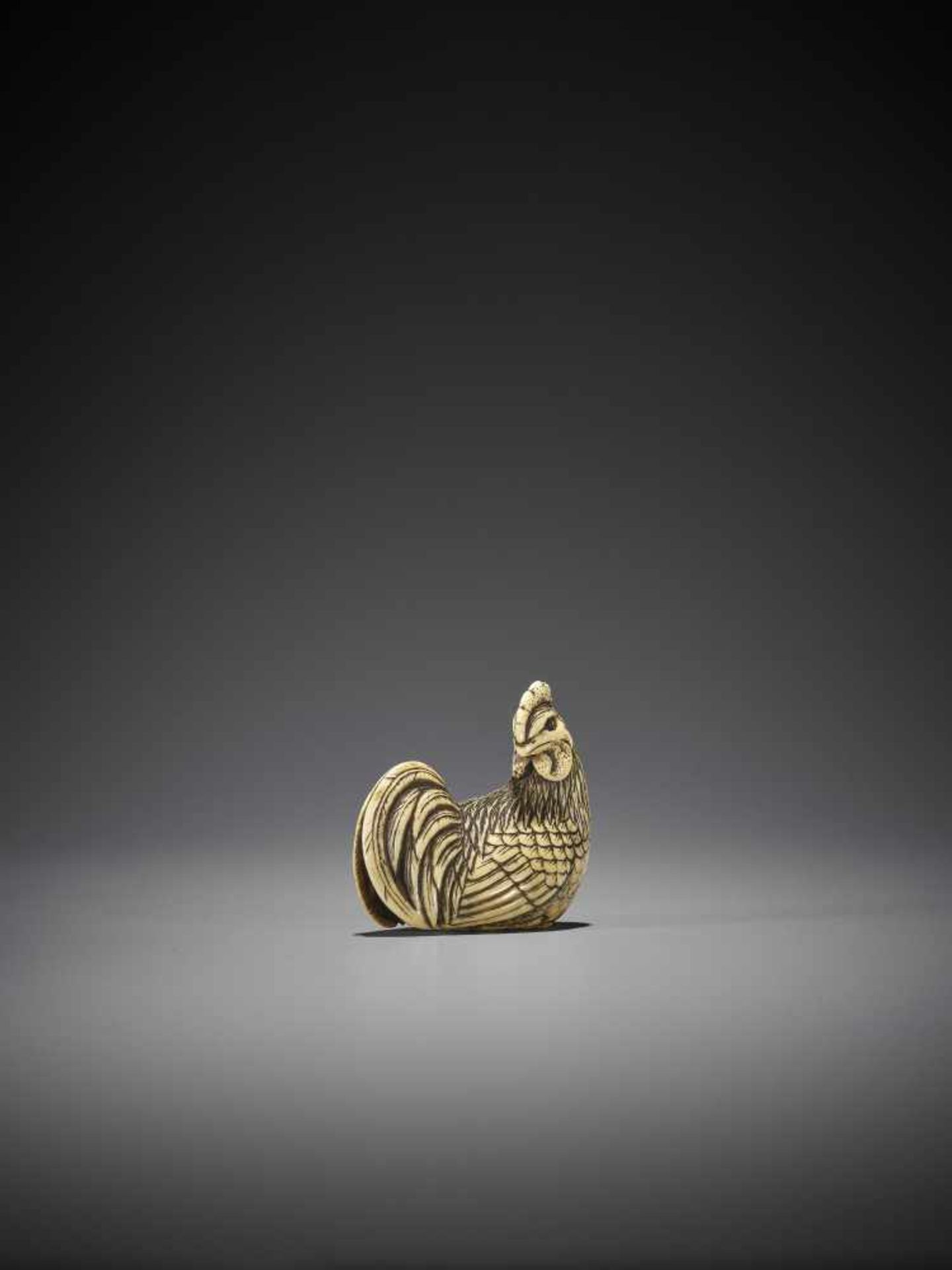 OKAKOTO: A FINE IVORY NETSUKE OF A COCKEREL - Image 7 of 10