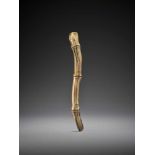 KOKU: A FINE STAG ANTLER SASHI NETSUKE OF A BAMBOO STALK