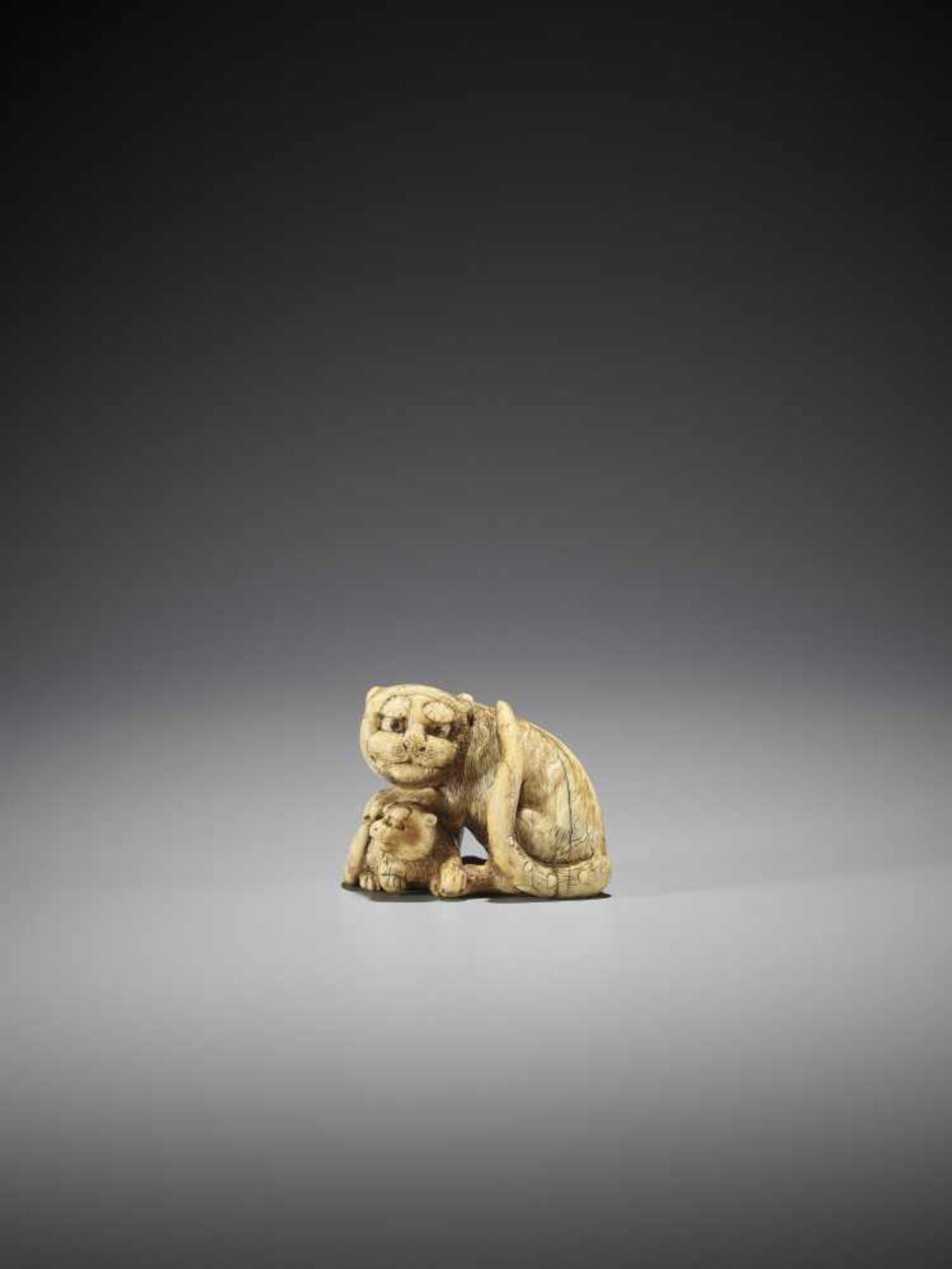 TOMOTADA: AN IVORY NETSUKE OF A TIGER AND CUB - Image 4 of 12