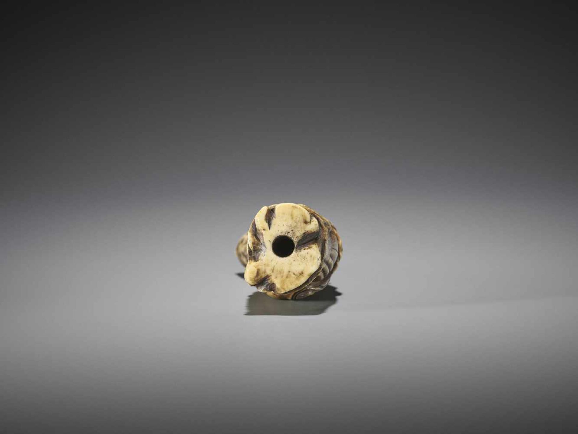 A SUPERB AND UNUSUAL STAG ANTLER NETSUKE OF A FOREIGNER - Image 10 of 10