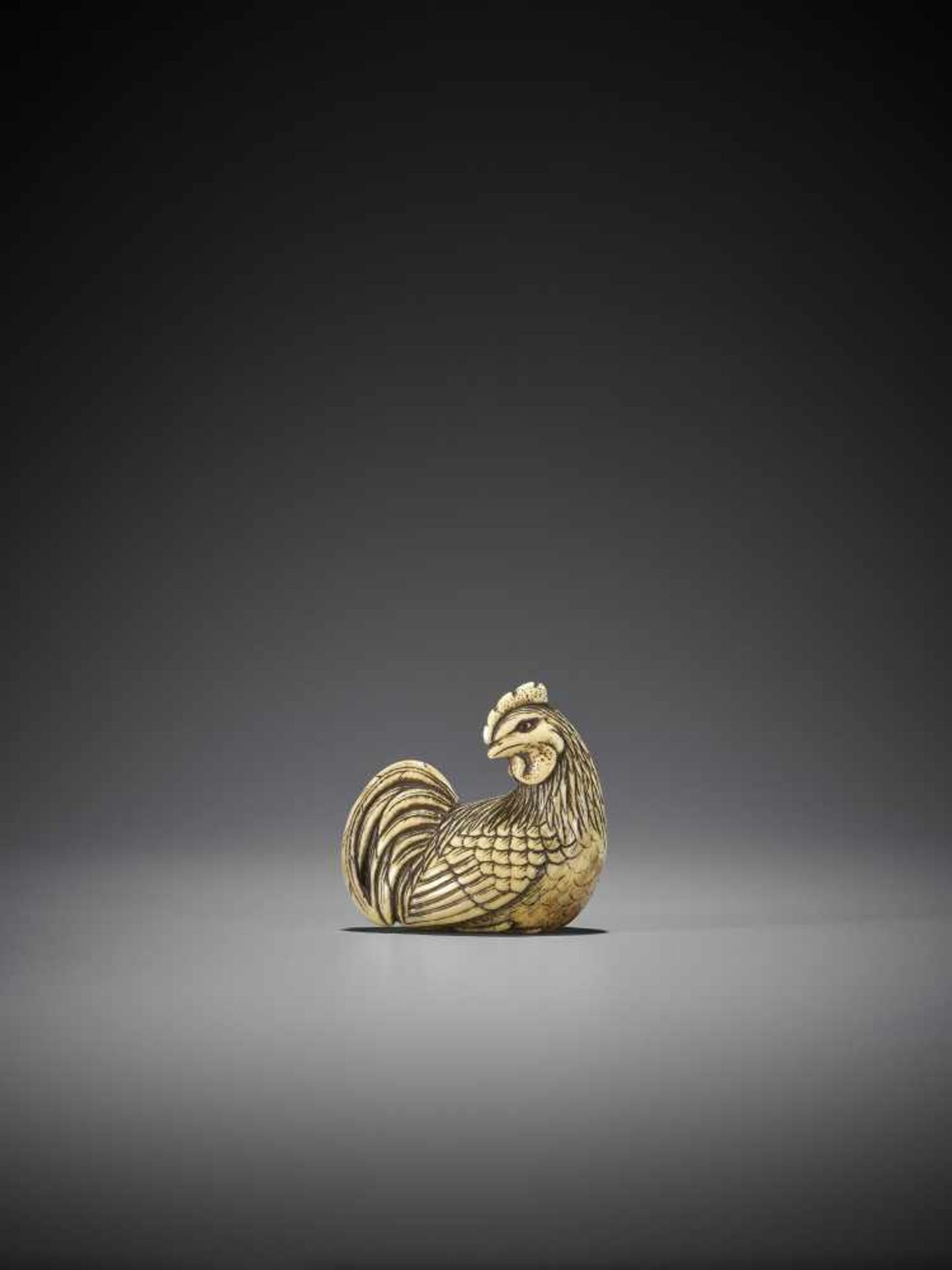 OKAKOTO: A FINE IVORY NETSUKE OF A COCKEREL