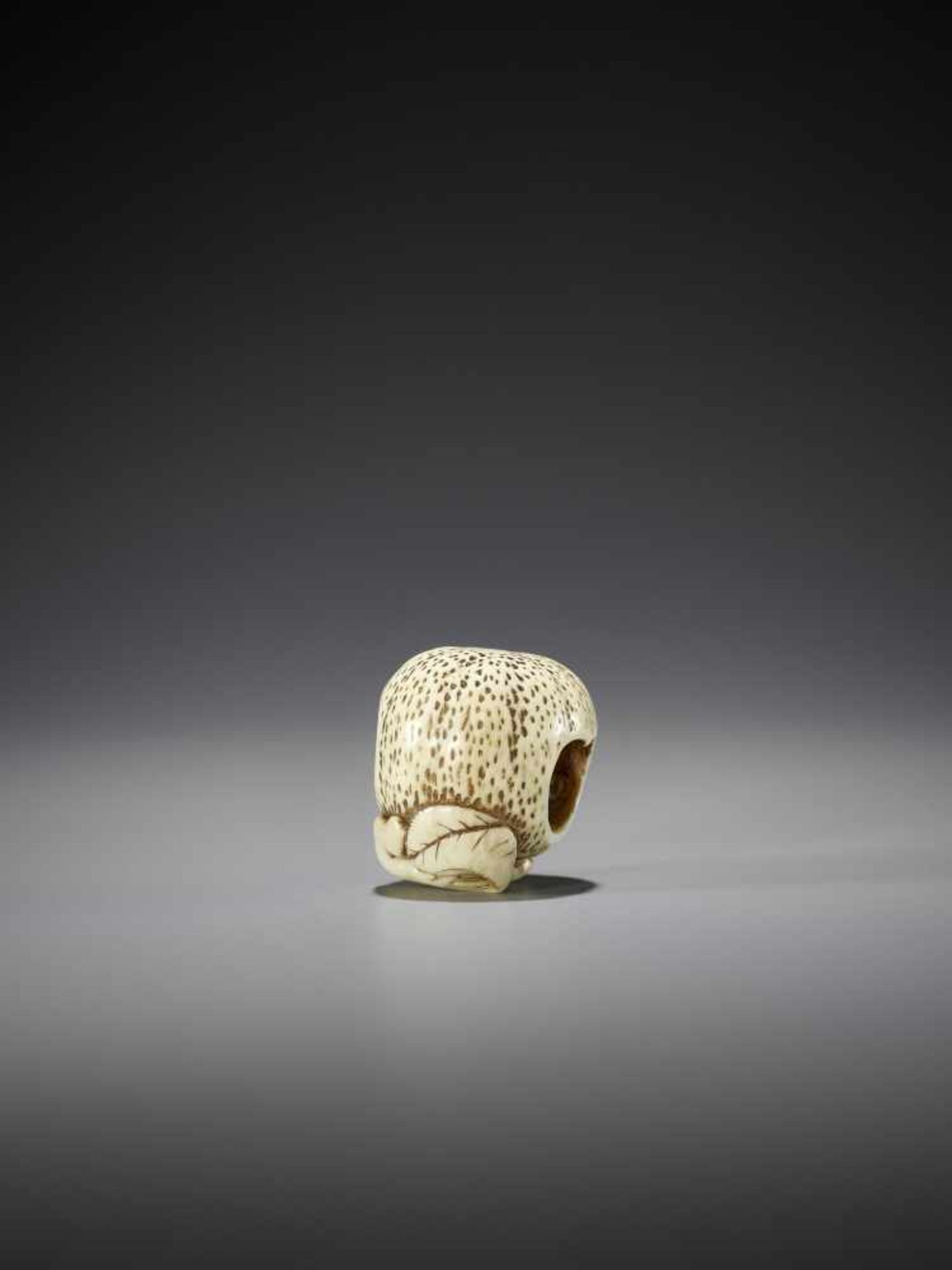 AN IVORY NETSUKE OF TWO SAGES INSIDE A MIKAN - Bild 3 aus 7