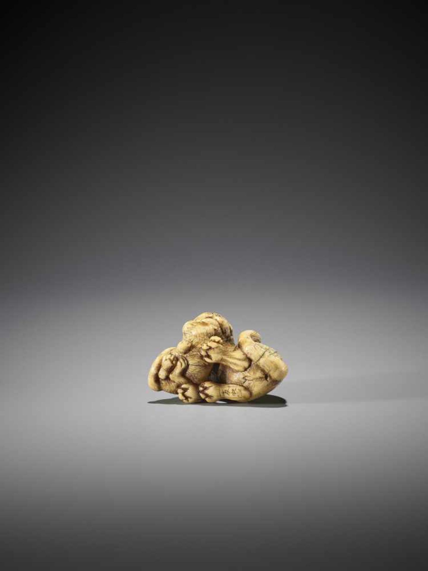 TOMOTADA: AN IVORY NETSUKE OF A TIGER AND CUB - Image 10 of 12