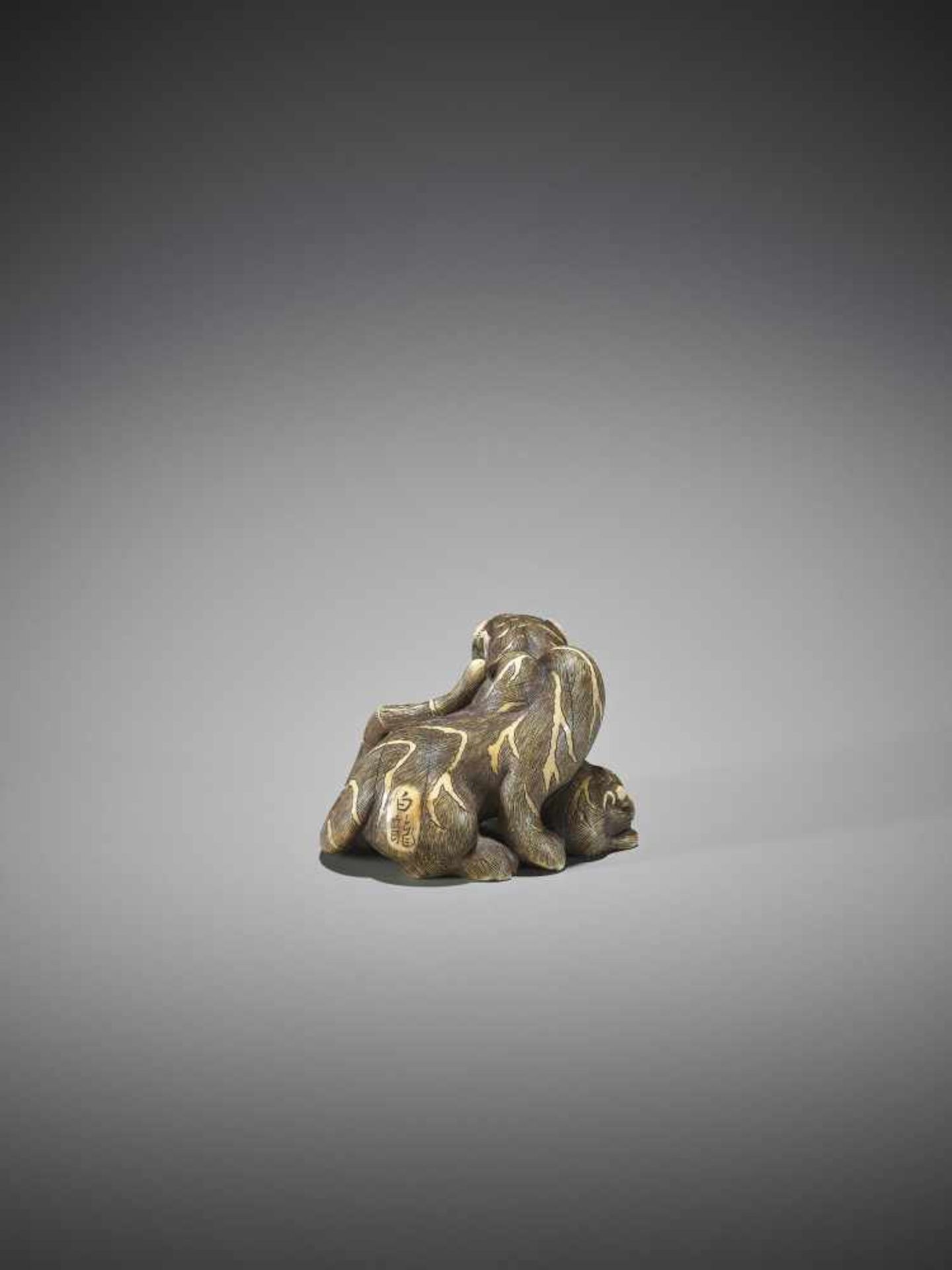 UNSHO HAKURYU II: A SUPERB IVORY NETSUKE OF A TIGER WITH CUB - Bild 3 aus 12