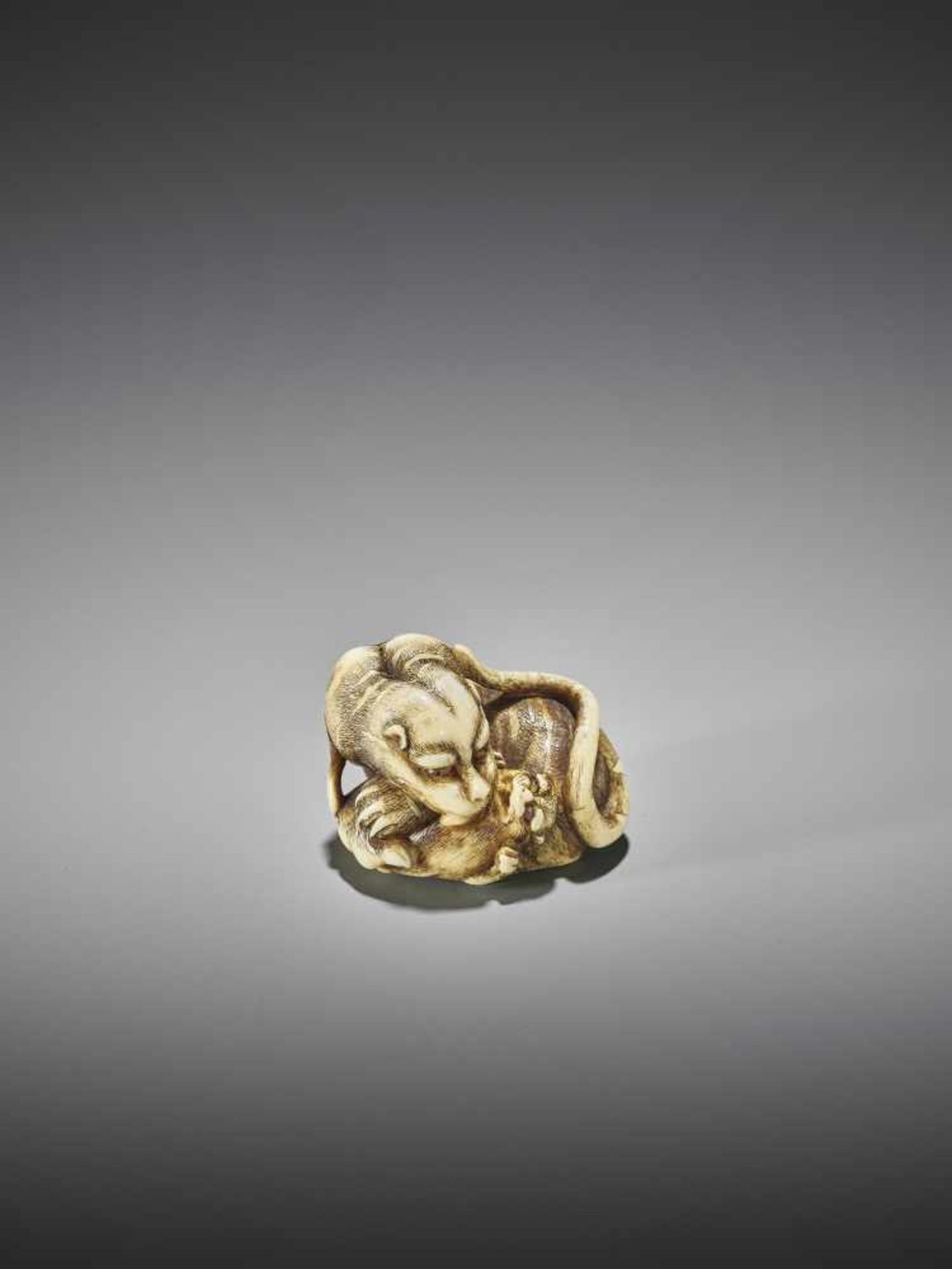 UNSHO HAKURYU I: AN EXCEPTIONAL IVORY NETSUKE OF A TIGER WITH CUB - Image 2 of 10