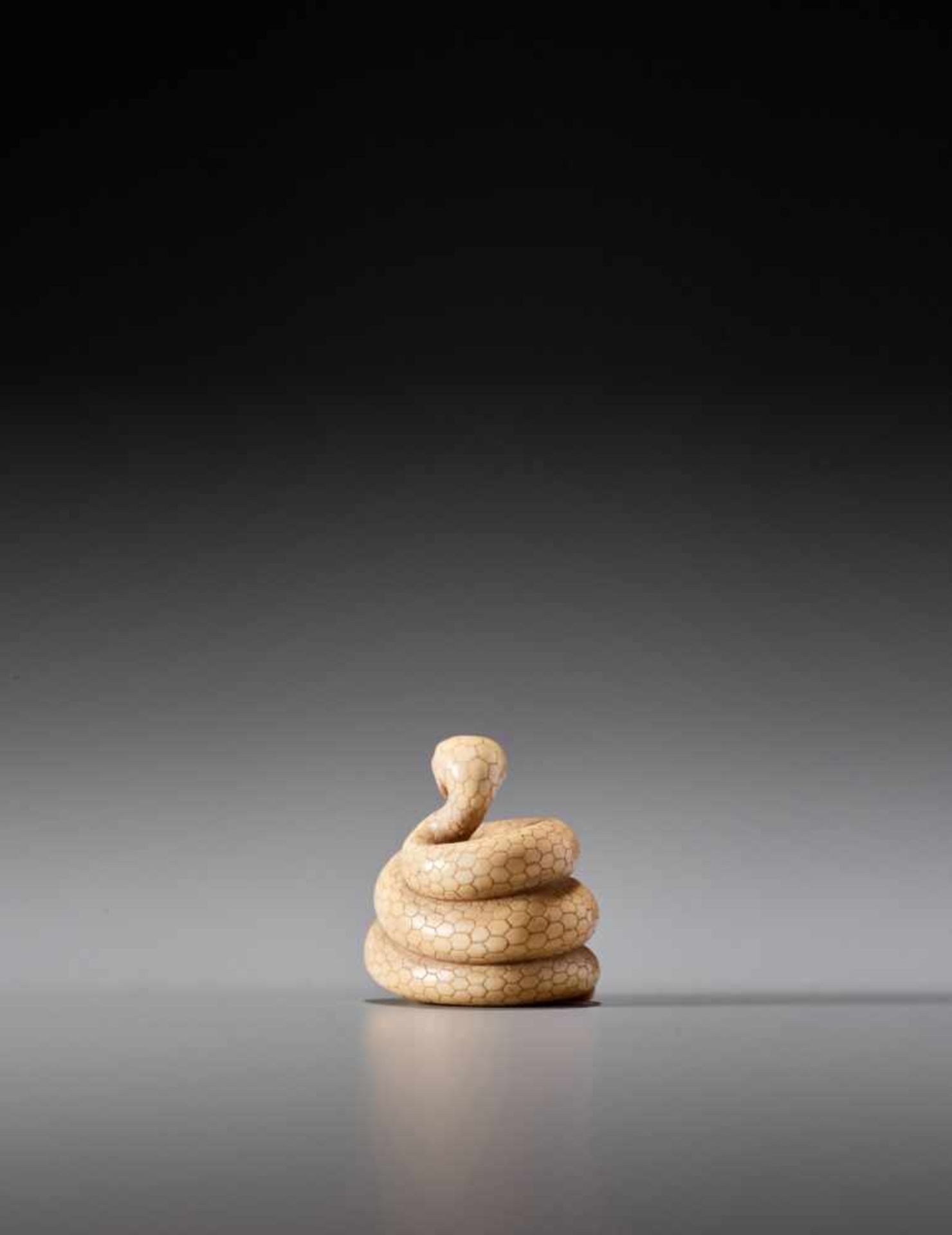 MASANAO: AN IVORY NETSUKE OF A COILED SNAKE - Image 3 of 10