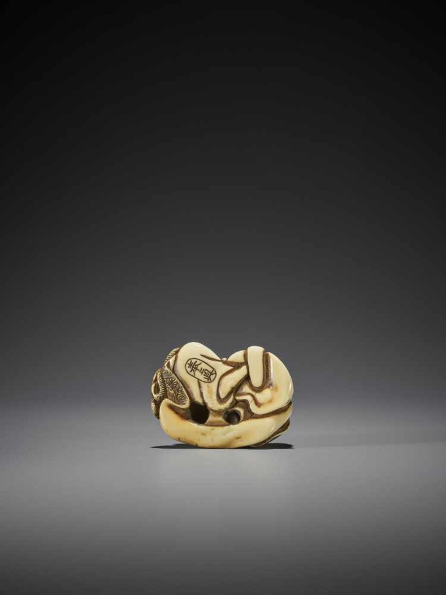 HOSHIN: A RARE IVORY NETSUKE OF A CHINESE SAGE WITH SNAKE - Image 10 of 13