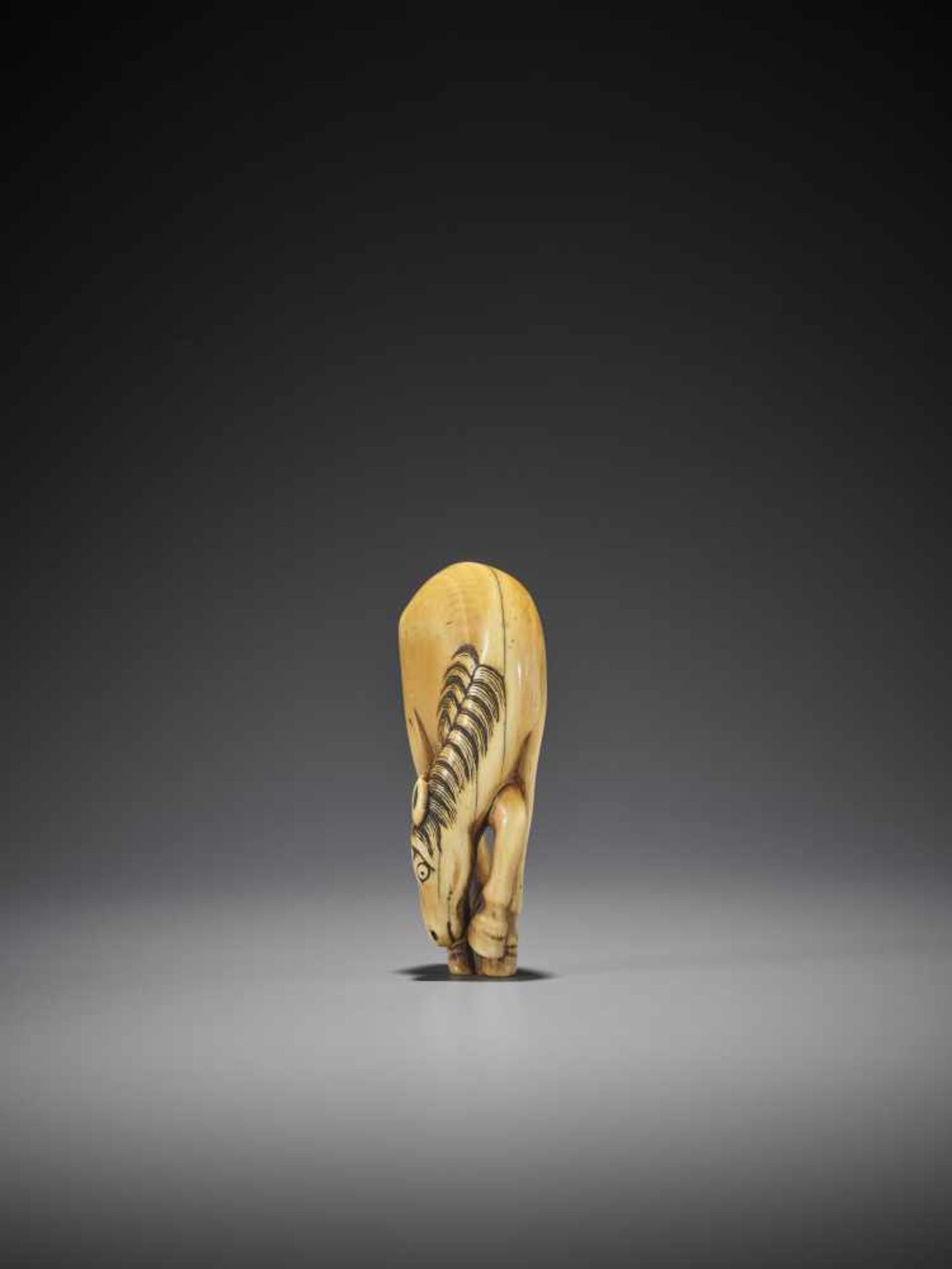 A FINE AND LARGE IVORY NETSUKE OF A GRAZING HORSE - Image 3 of 9