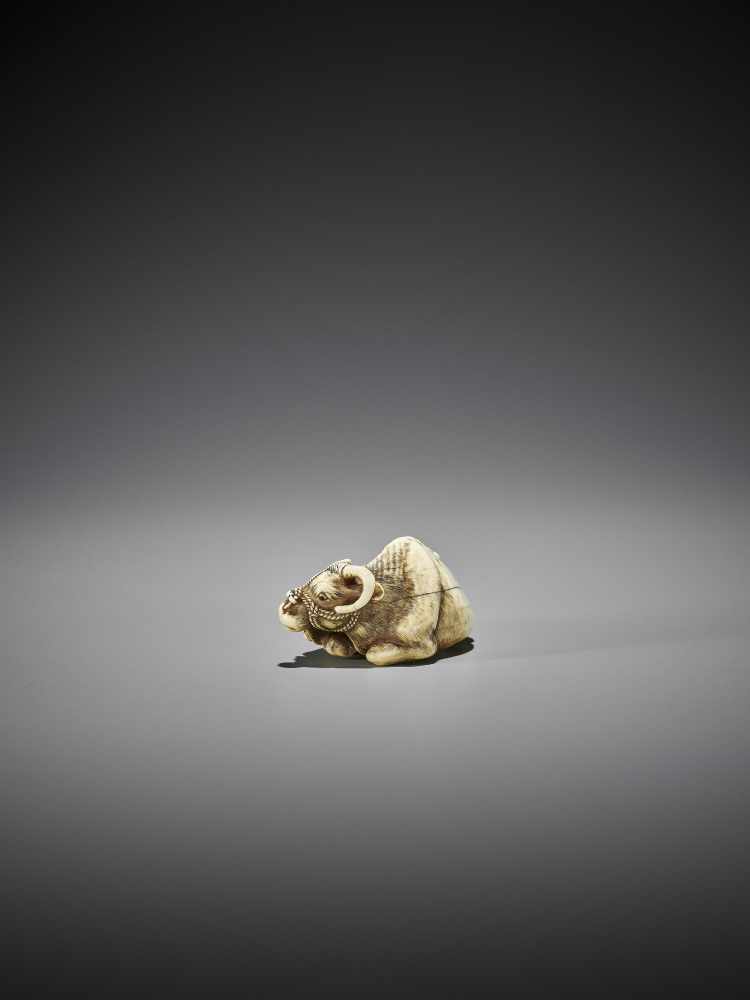 TOMOTADA: A GOOD IVORY NETSUKE OF A RECUMBENT COW WITH CALF - Image 7 of 11