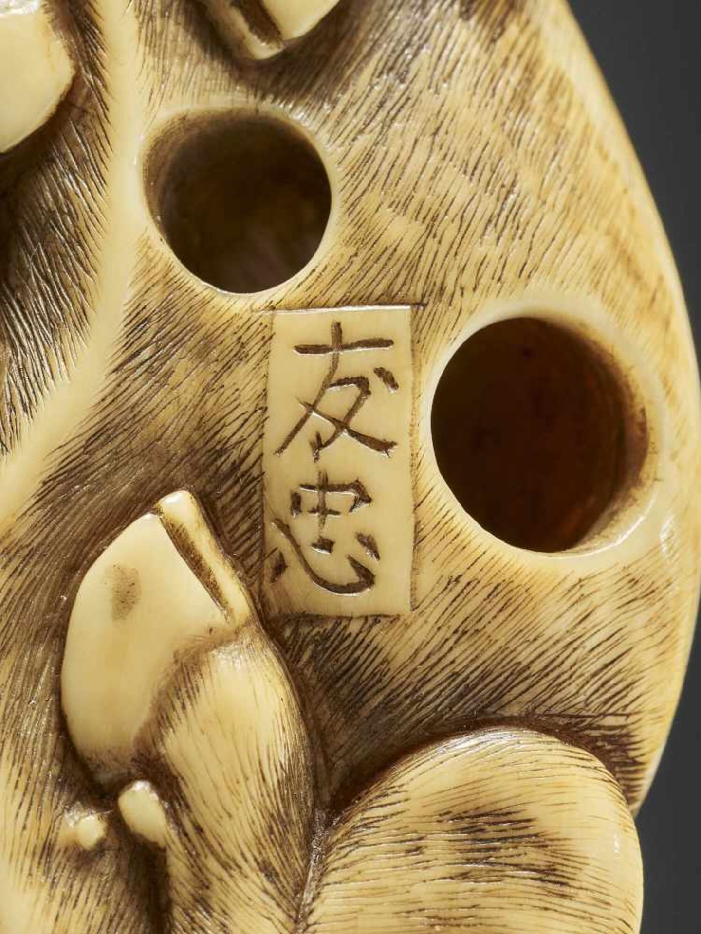 TOMOTADA: A GOOD IVORY NETSUKE OF A RECUMBENT COW WITH CALF - Image 11 of 11