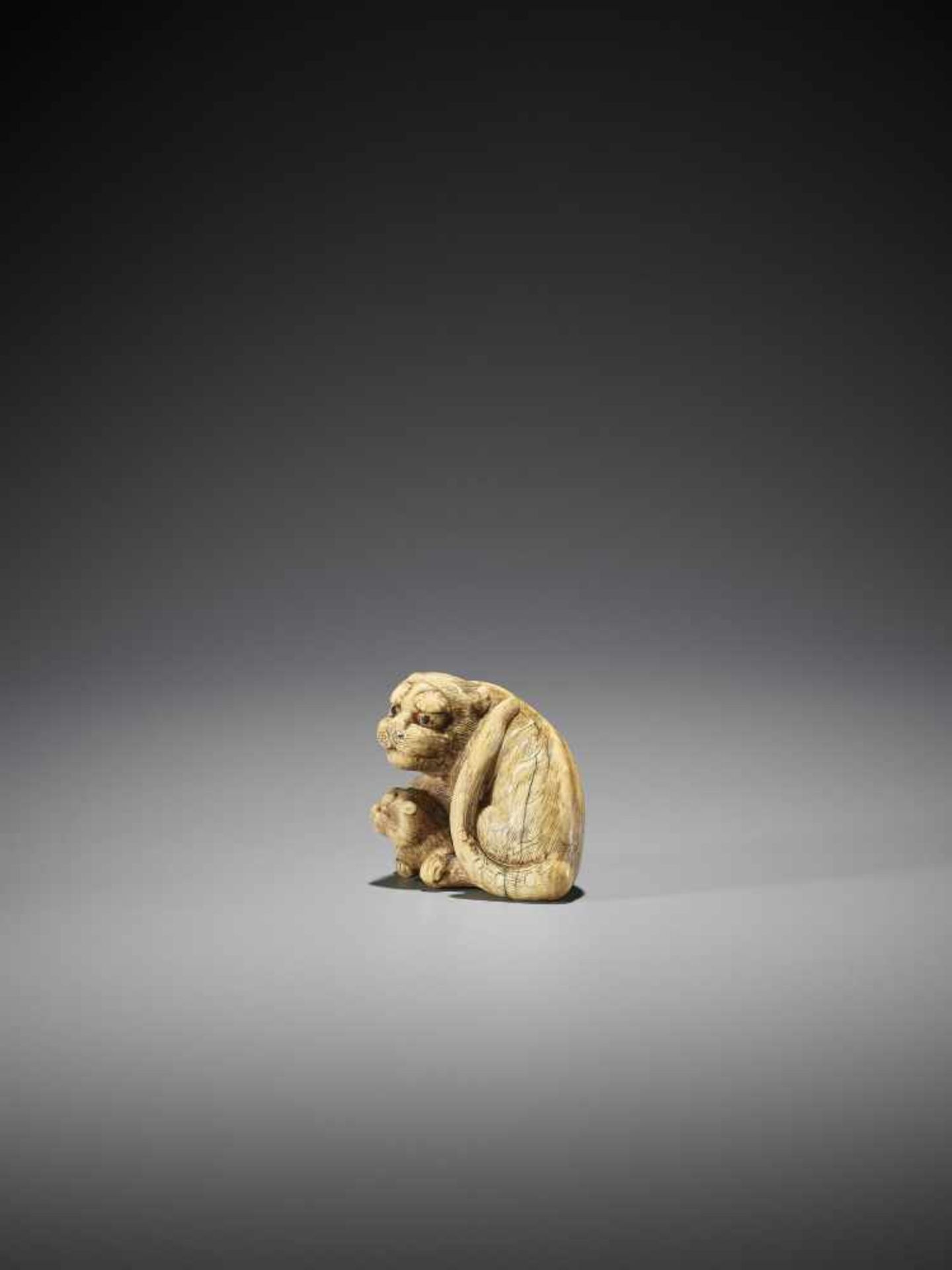 TOMOTADA: AN IVORY NETSUKE OF A TIGER AND CUB - Image 5 of 12