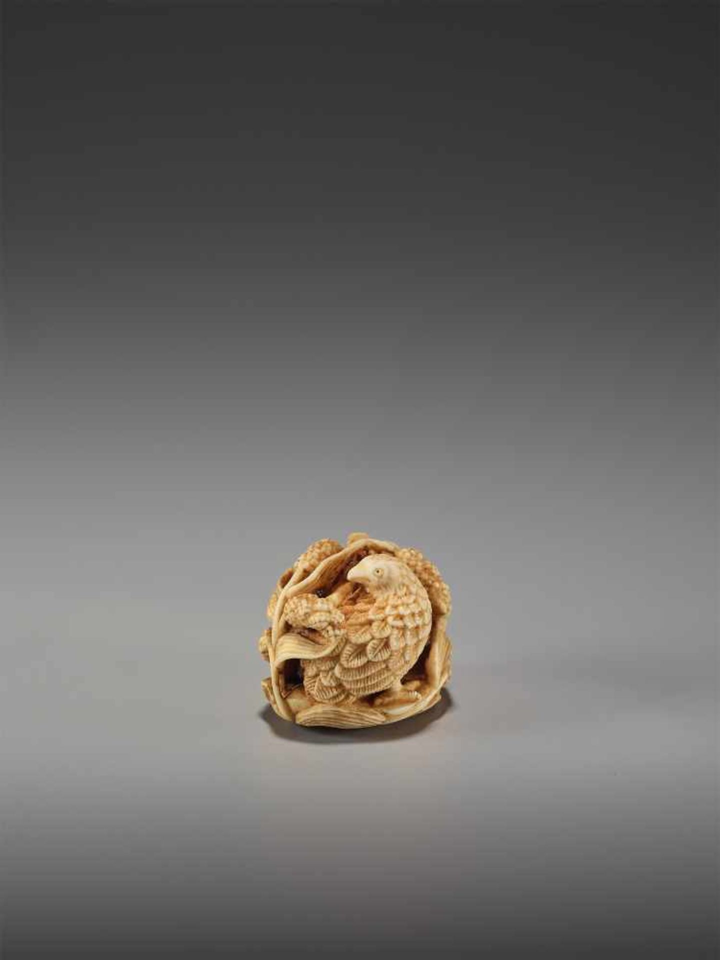 KAGETOSHI: AN IVORY NETSUKE OF TWO QUAILS - Image 2 of 12