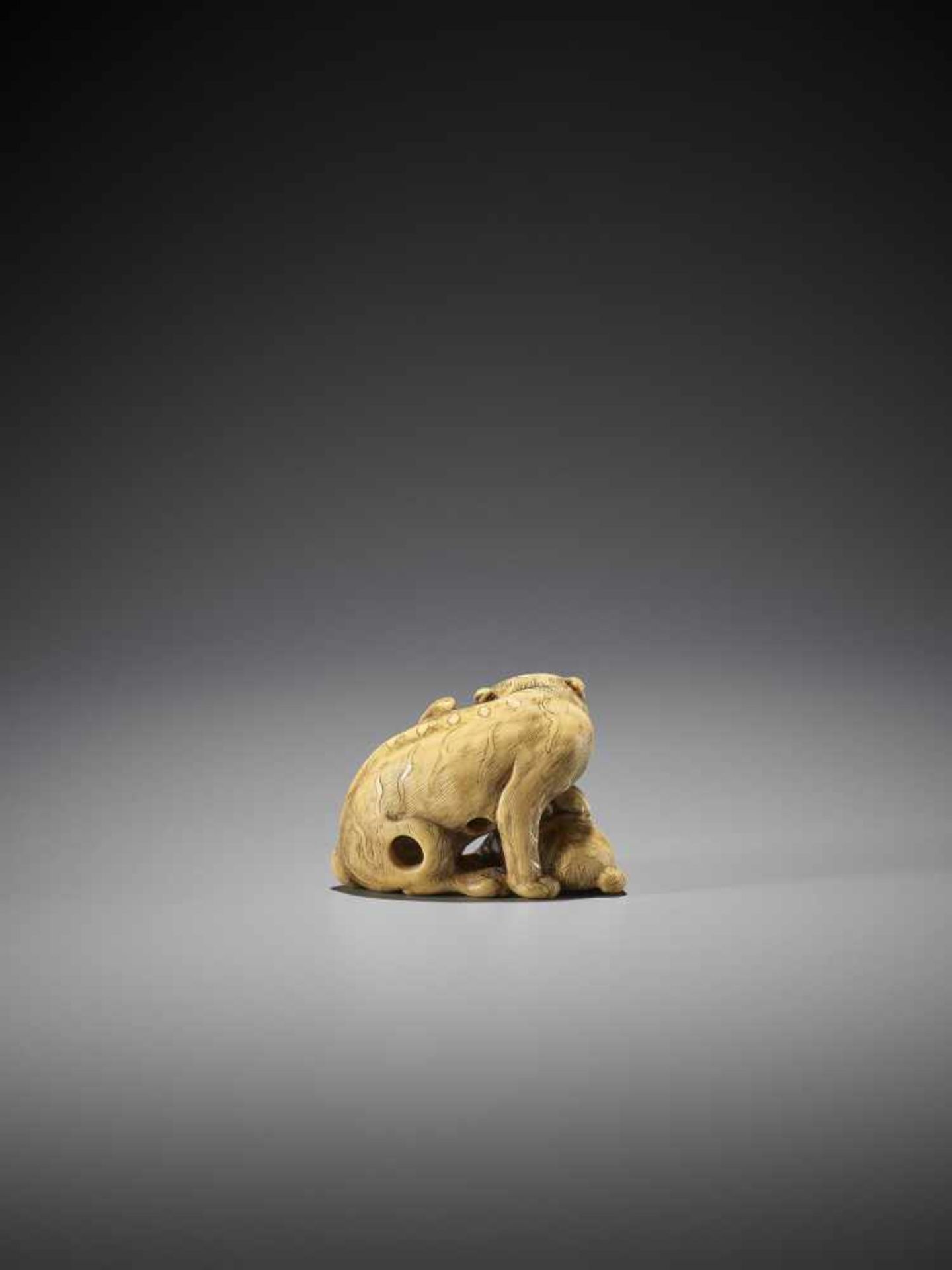 TOMOTADA: AN IVORY NETSUKE OF A TIGER AND CUB - Image 2 of 12