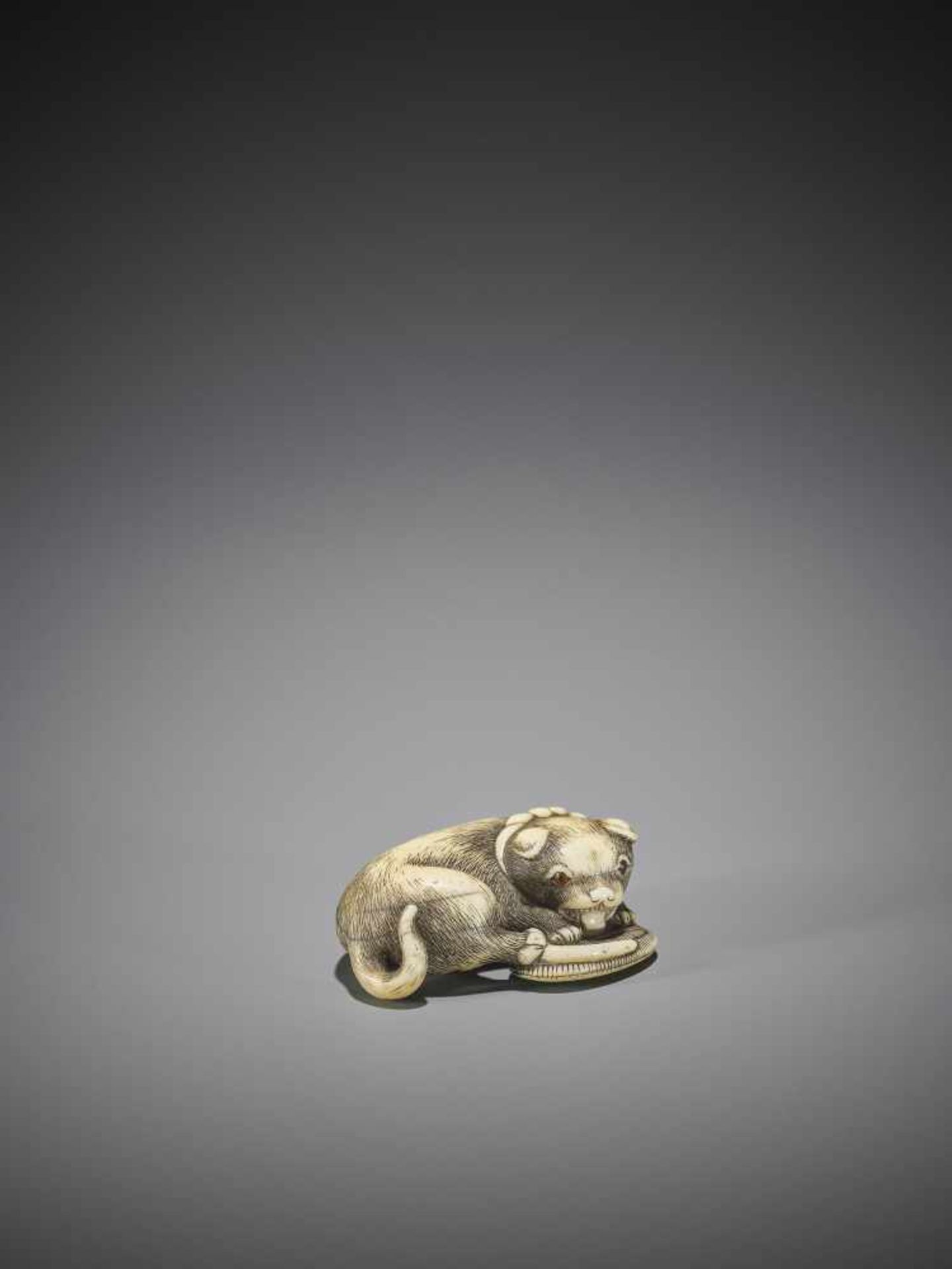 AN OSAKA SCHOOL IVORY NETSUKE OF A DOG WITH SANDAL - Bild 7 aus 8