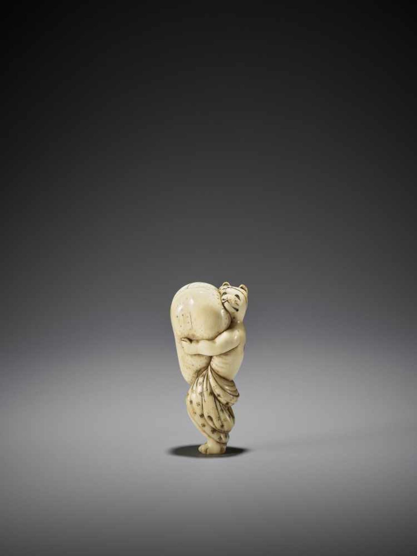 A LARGE AND AMUSING IVORY NETSUKE OF A TANUKI WITH HUGE SCROTUM - Image 4 of 9