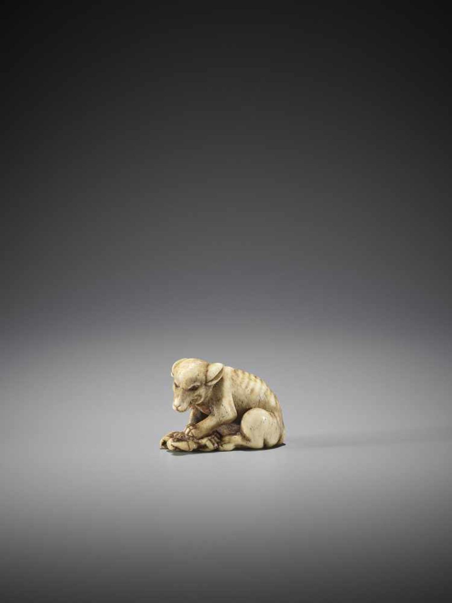 AN EXCELLENT AND RARE BONE NETSUKE OF A WOLF WITH CRAB - Bild 4 aus 13