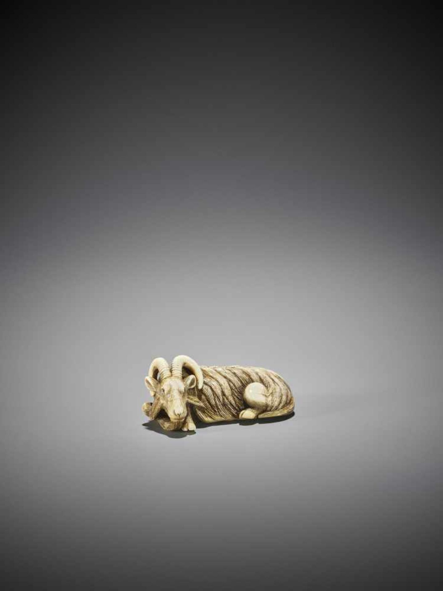 MASANAO (ATTR.): A SUPERB IVORY NETSUKE OF A RECUMBENT GOAT - Image 11 of 13