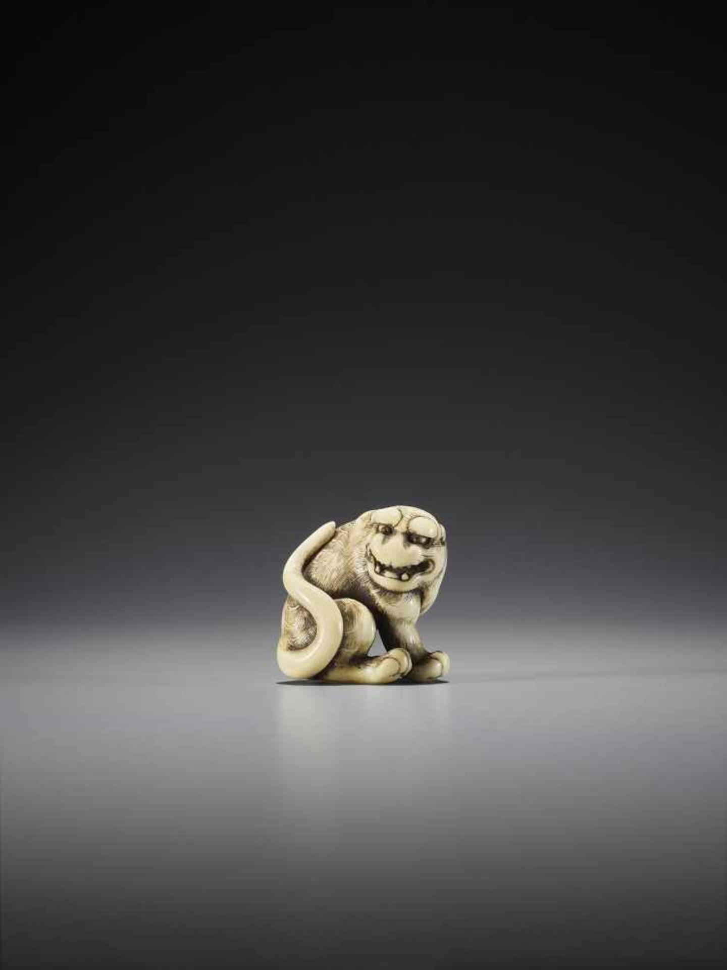 OKAKOTO: A SUPERB IVORY NETSUKE OF A TIGER - Image 4 of 12