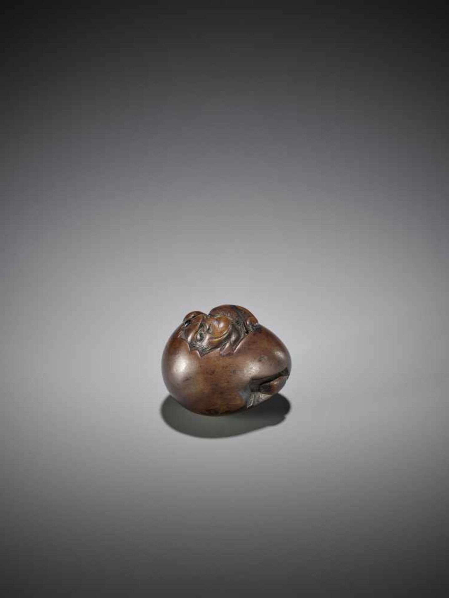 AN UNUSUAL WOOD NETSUKE OF A HATCHING TENGU - Bild 6 aus 8