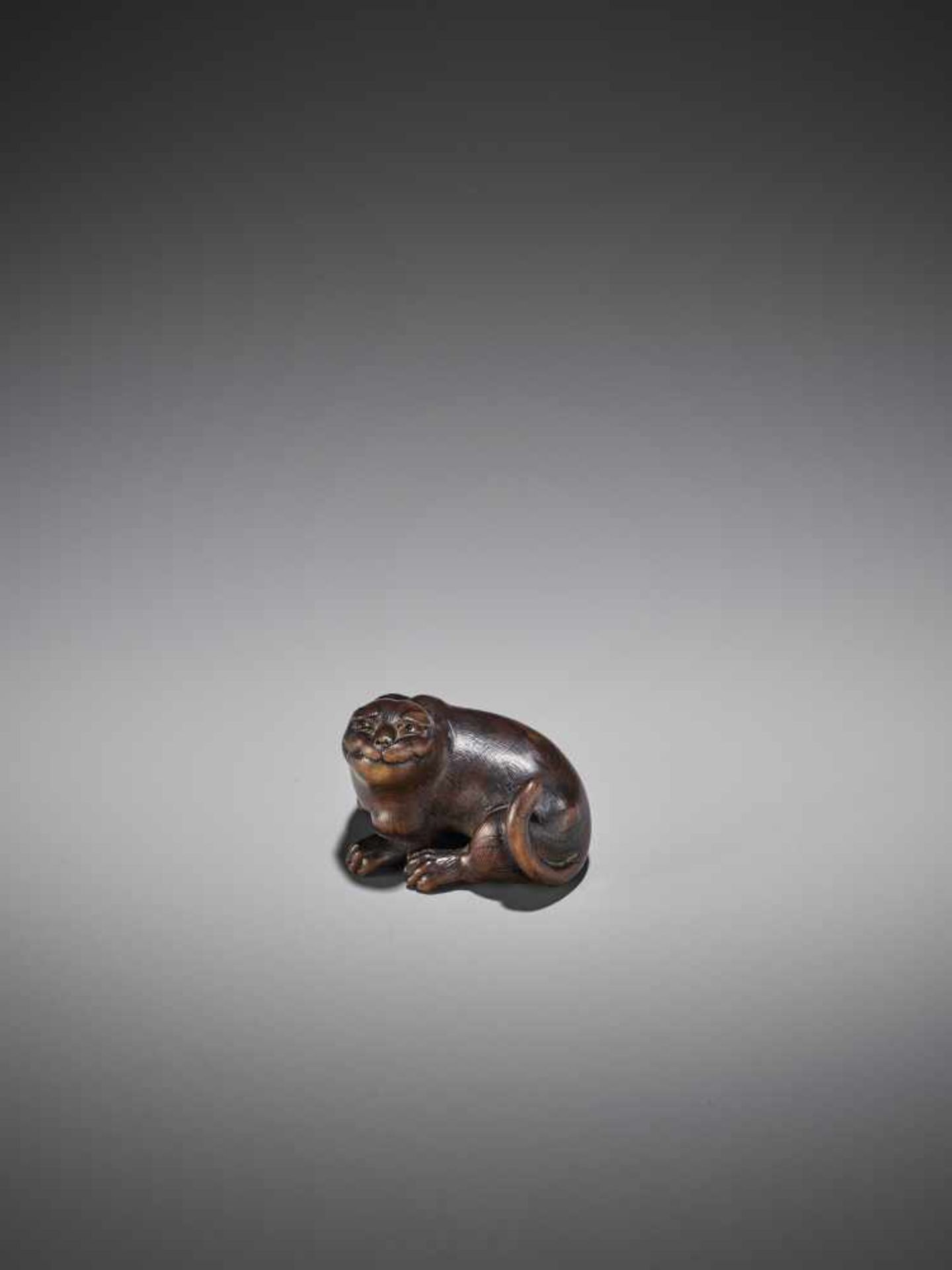 RANTEI: A RARE WOOD NETSUKE OF A TIGER - Bild 3 aus 11