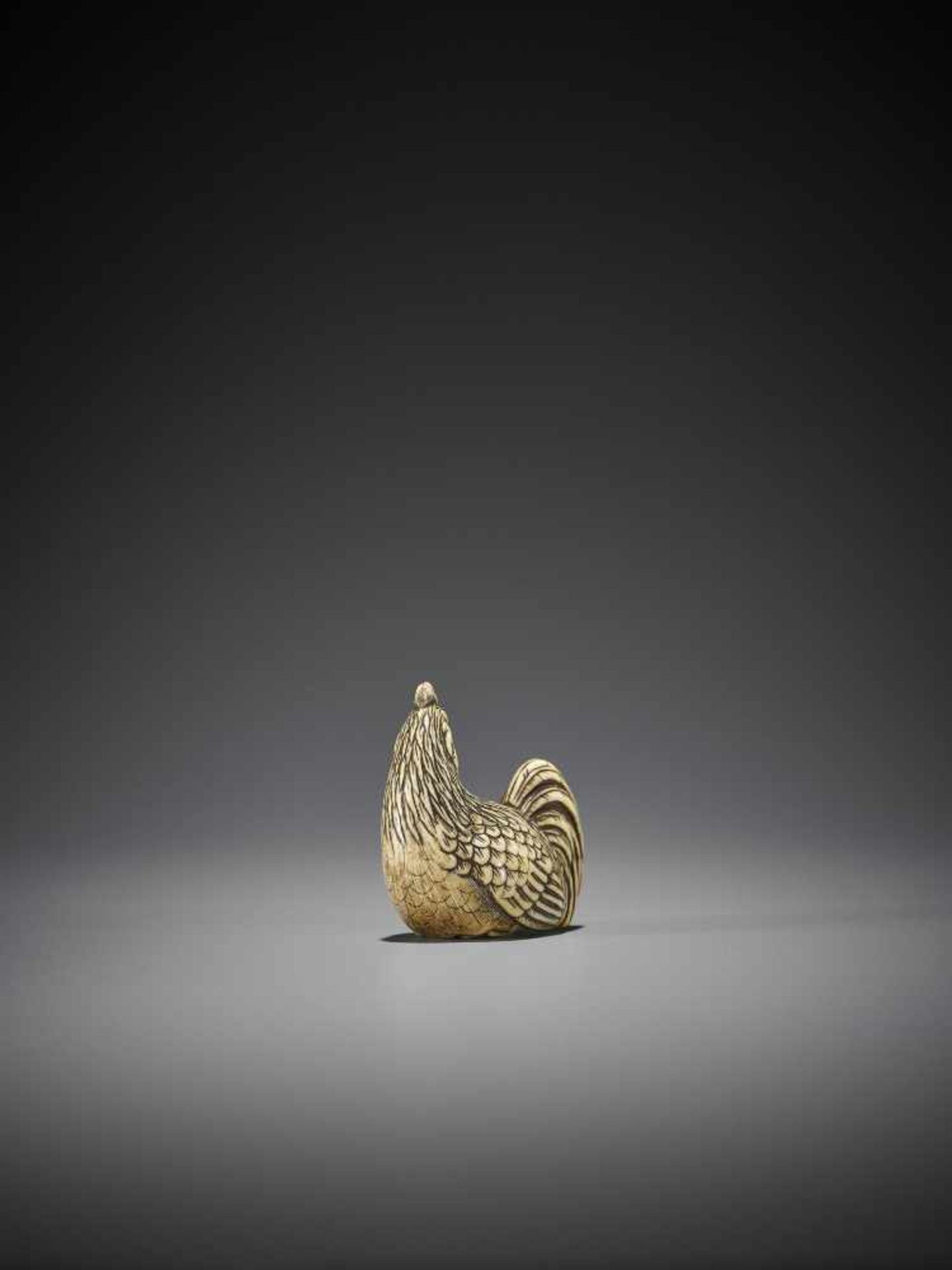 OKAKOTO: A FINE IVORY NETSUKE OF A COCKEREL - Image 3 of 10