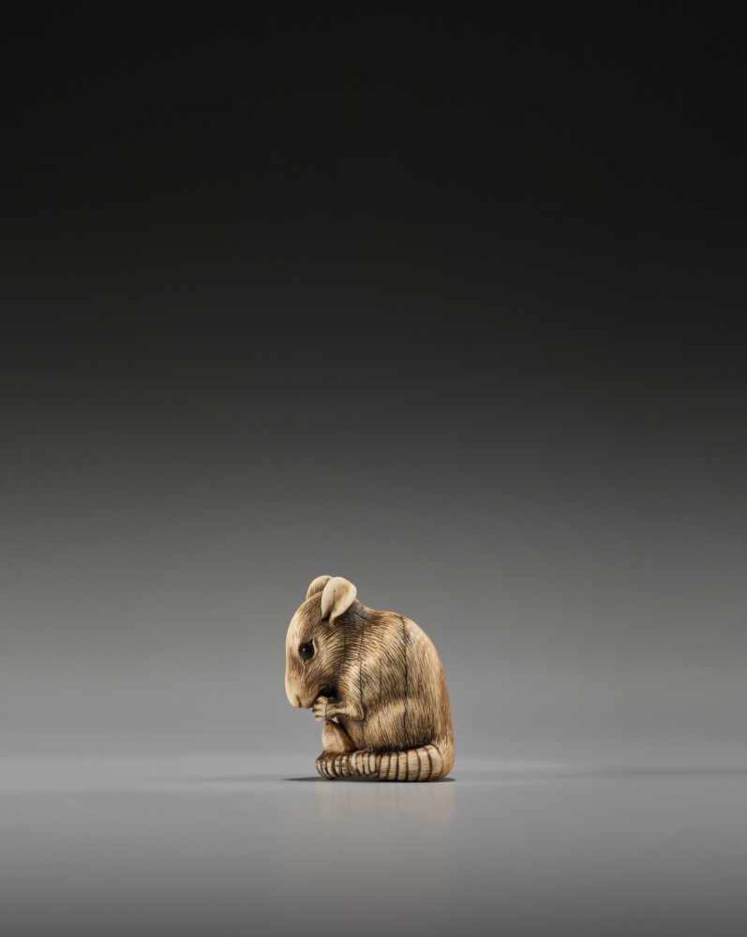 A POWERFUL KYOTO SCHOOL IVORY NETSUKE OF A RAT WITH A BEAN POD - Image 6 of 11