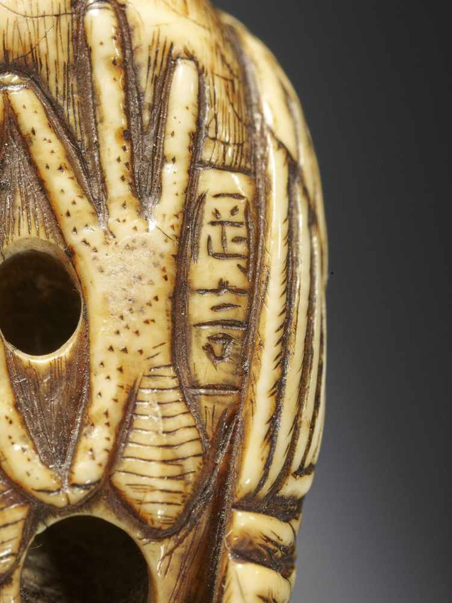 OKAKOTO: A FINE IVORY NETSUKE OF A COCKEREL - Image 9 of 10