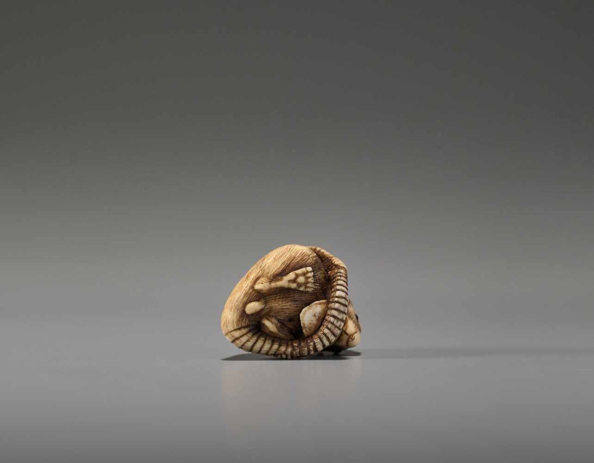 A POWERFUL KYOTO SCHOOL IVORY NETSUKE OF A RAT WITH A BEAN POD - Image 10 of 11
