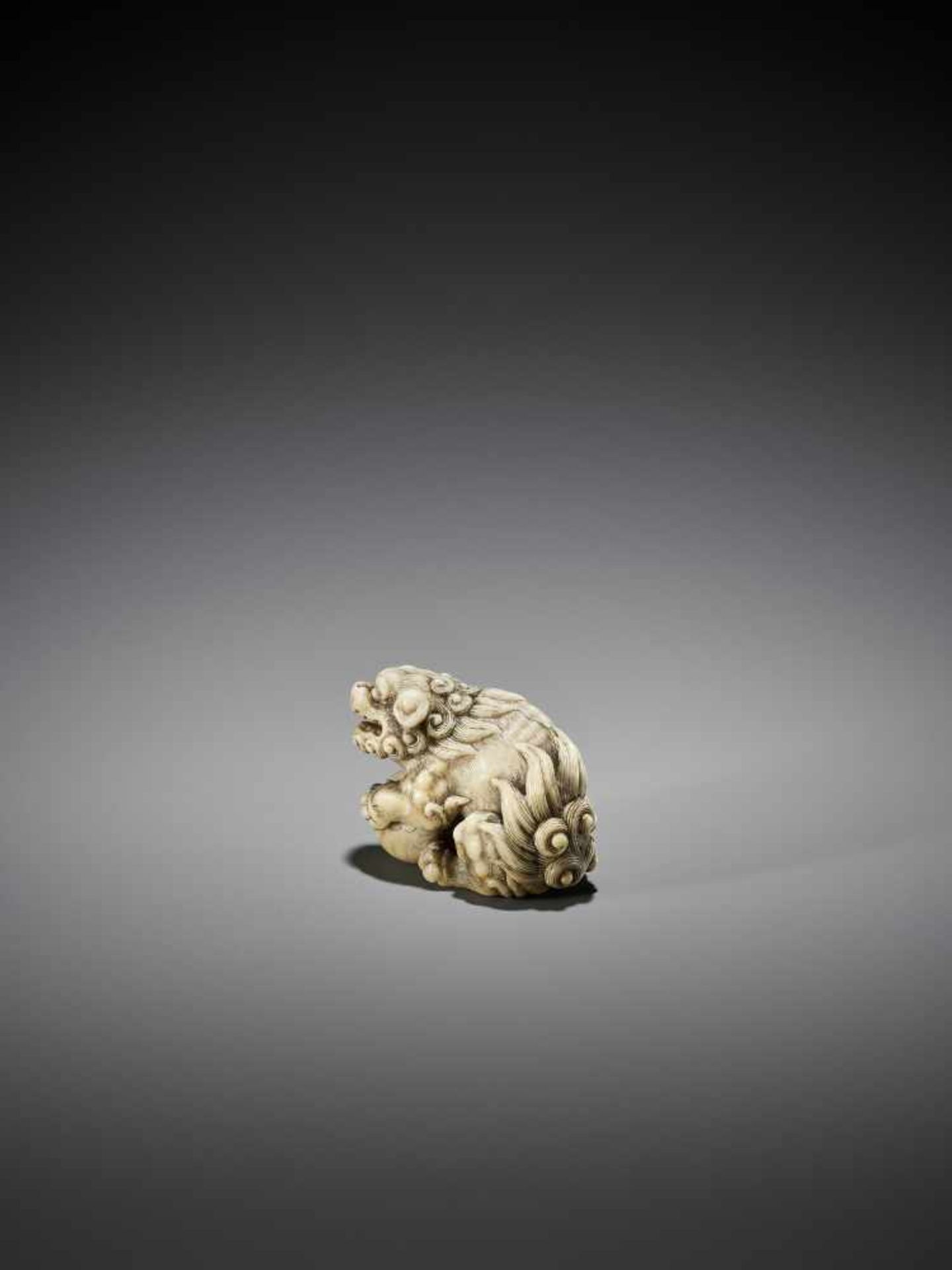 OKATORI: AN EXCELLENT IVORY NETSUKE OF A SHISHI WITH BALL - Image 3 of 13