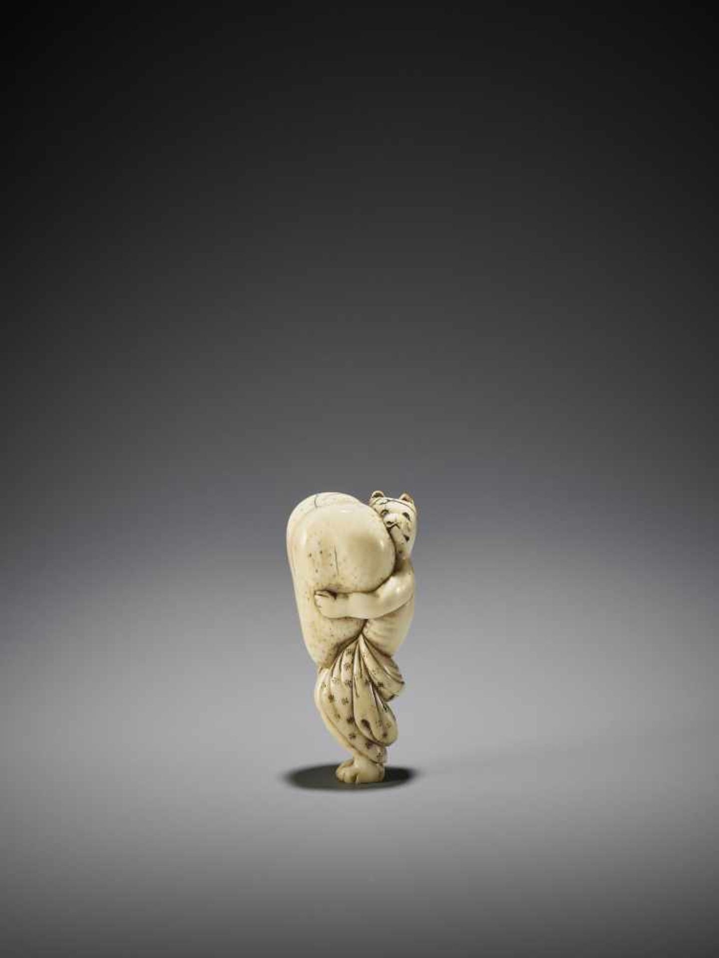 A LARGE AND AMUSING IVORY NETSUKE OF A TANUKI WITH HUGE SCROTUM - Image 7 of 9