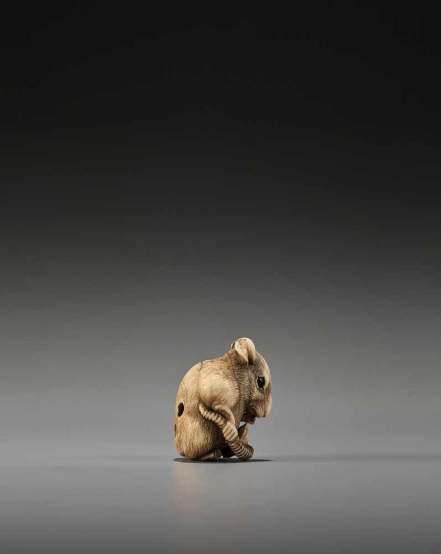 A POWERFUL KYOTO SCHOOL IVORY NETSUKE OF A RAT WITH A BEAN POD - Image 8 of 11